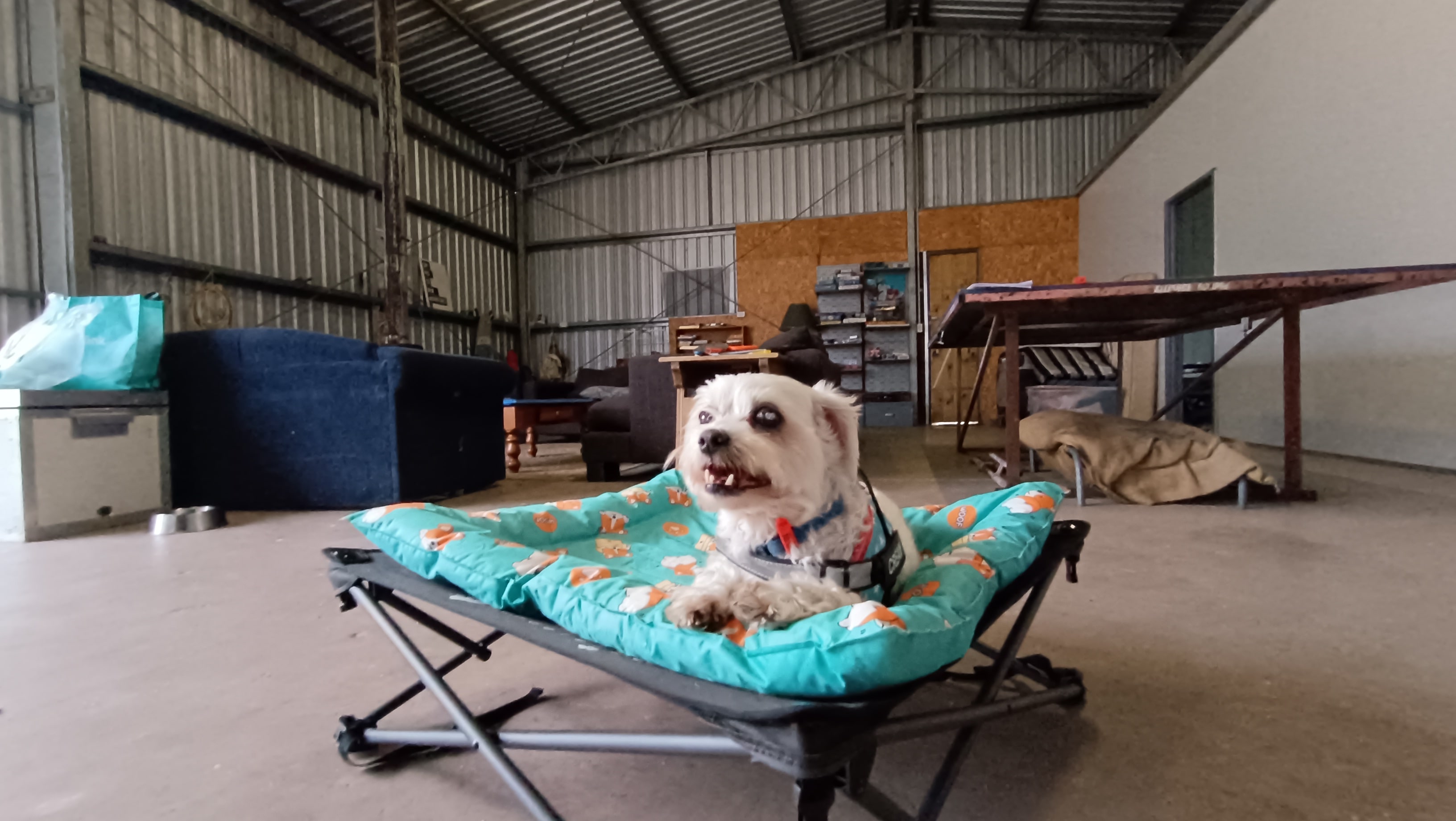 Something Different Shedstay