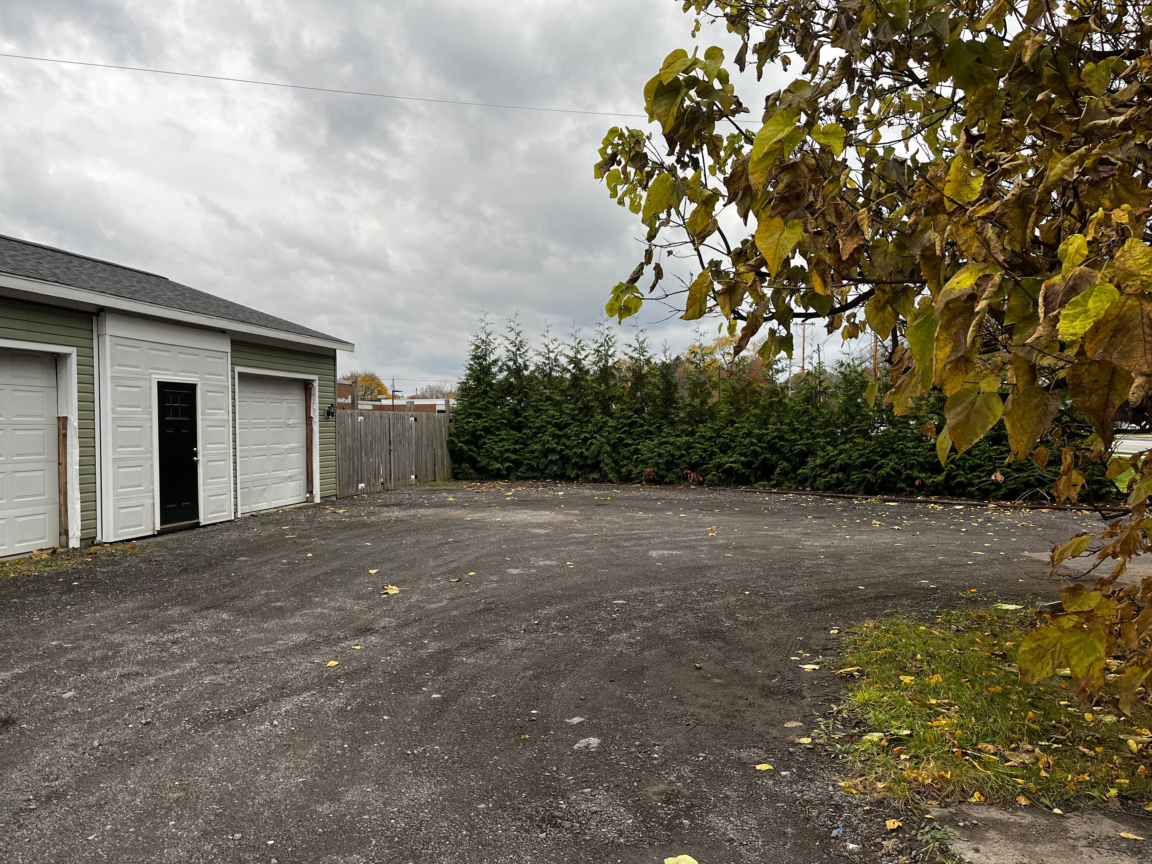 You will park next to the arborvitae’s 