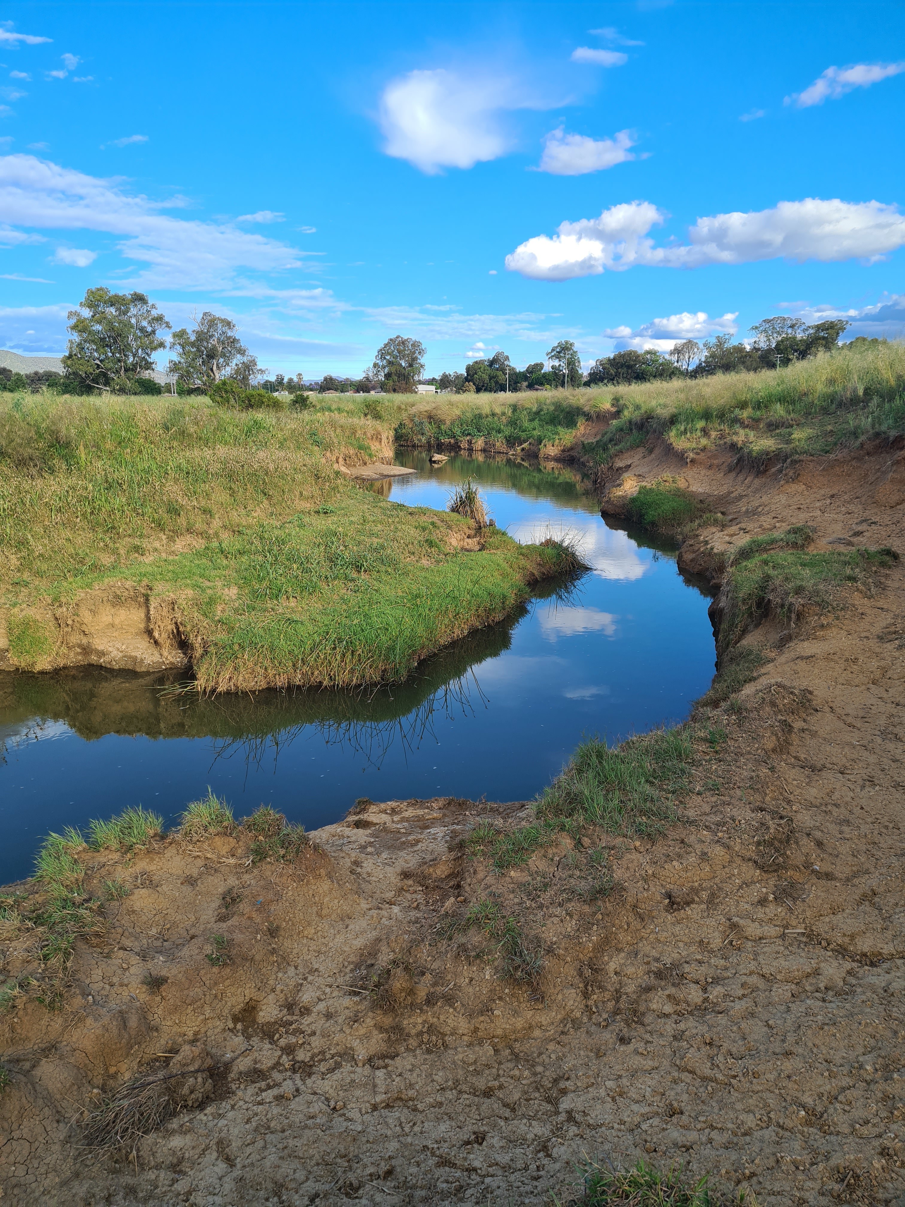 Timbumburri Creek along camping area