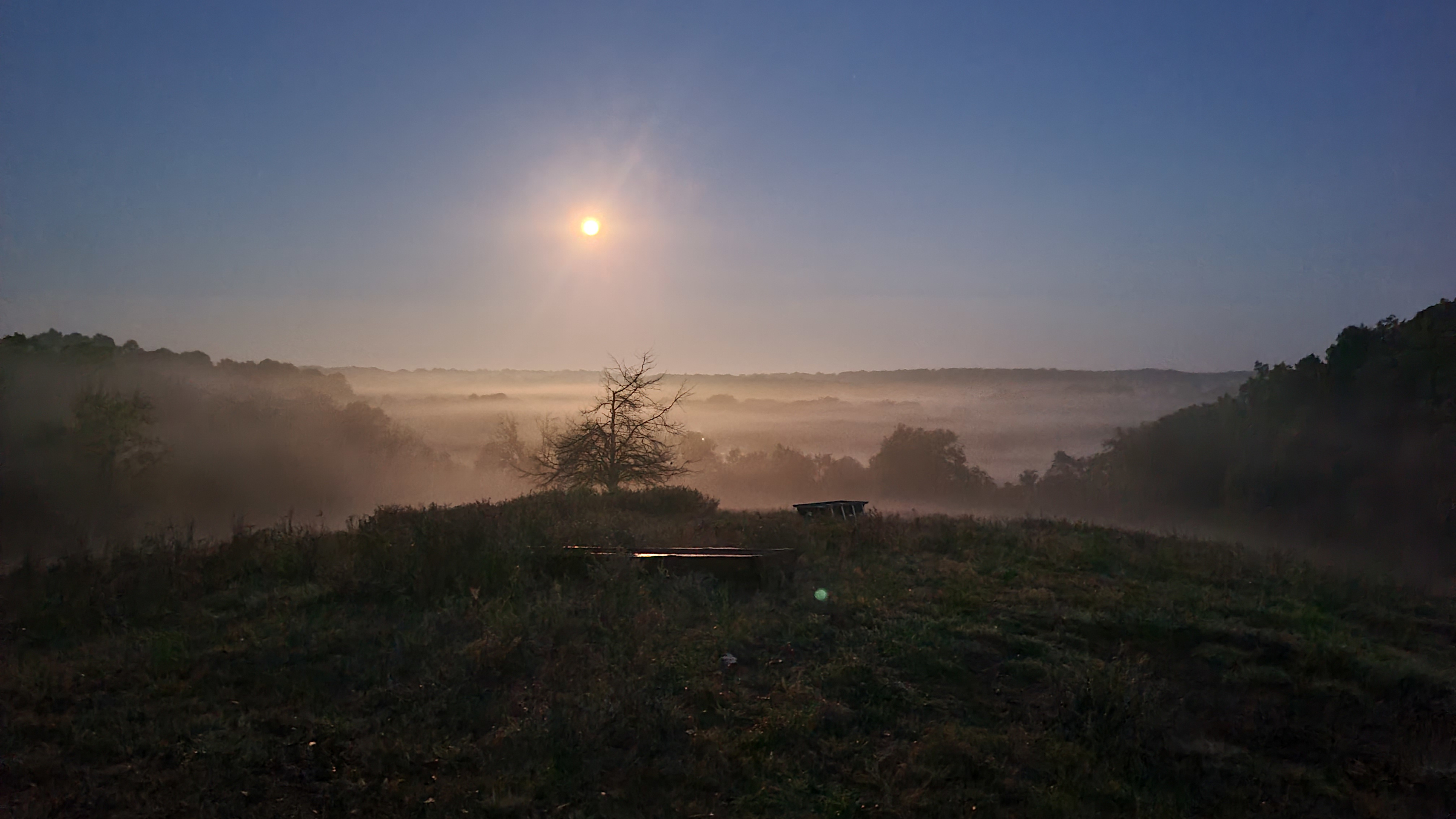 View looking west from the top of the hill.