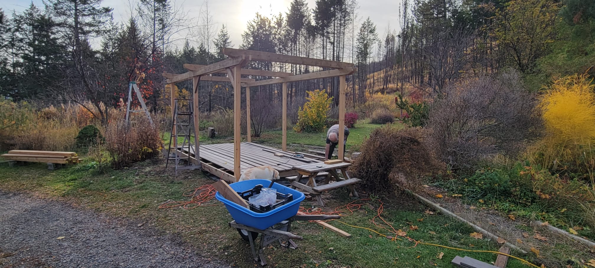 Pergola under construction after the forest  fire
