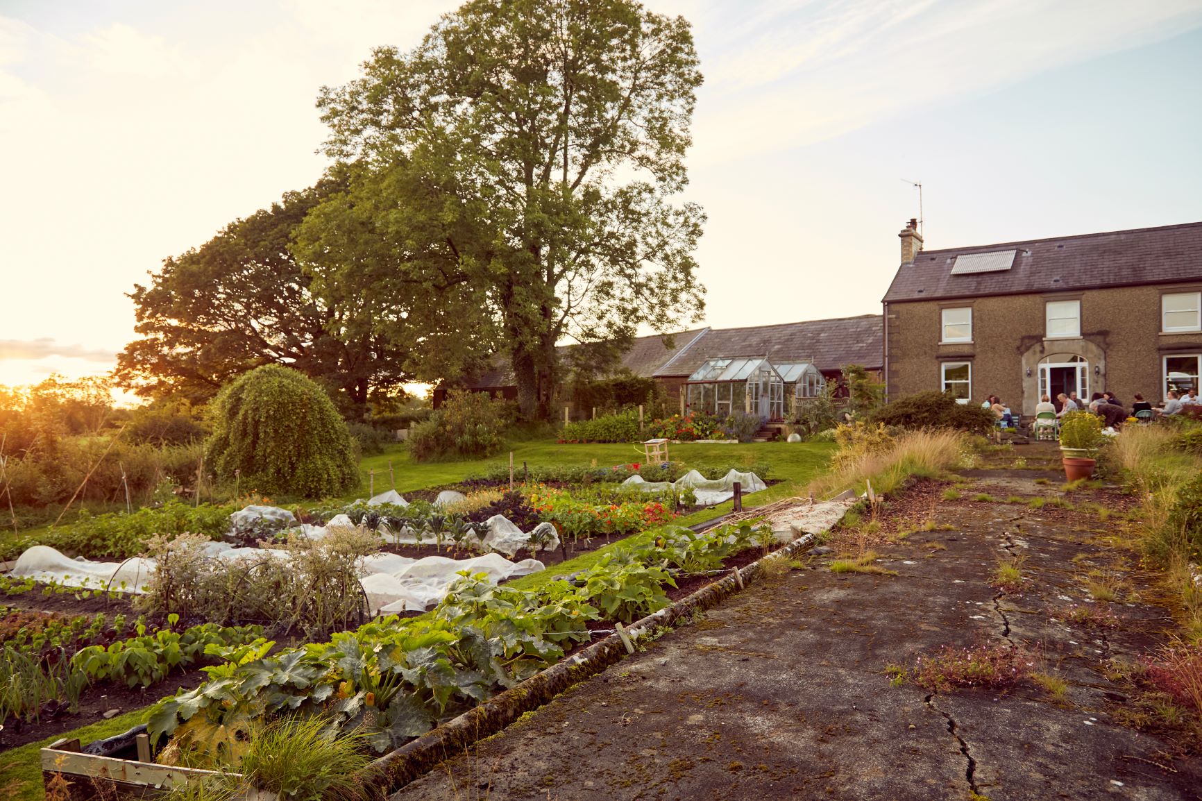Laurelbank Organic Farm