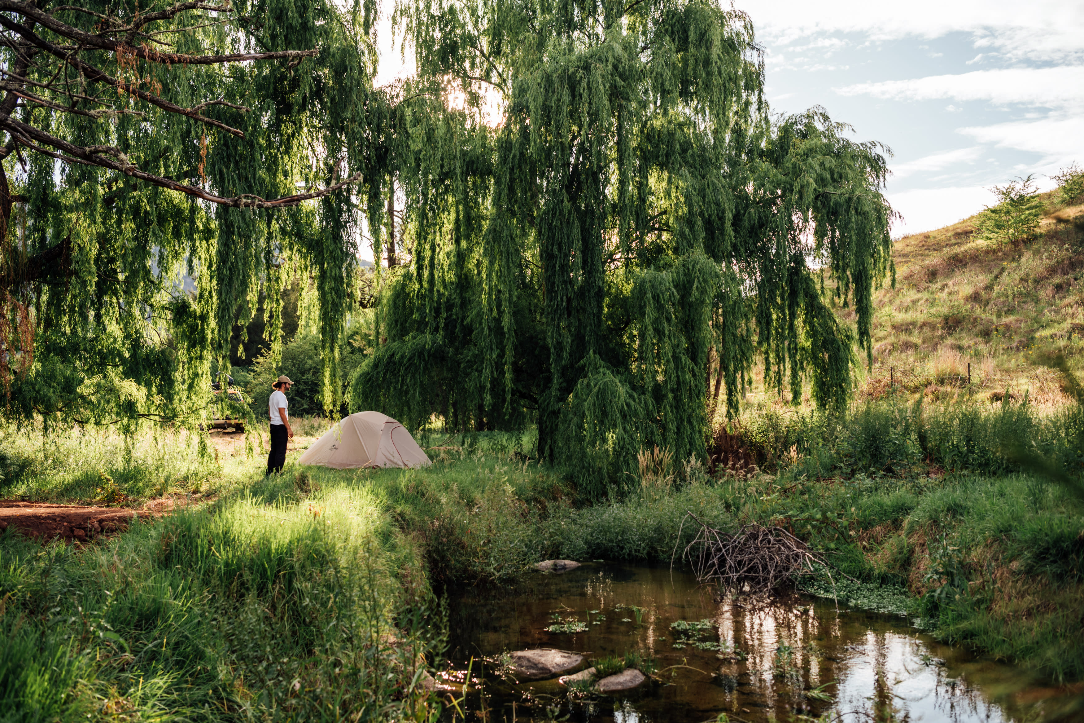 Our creek side campsite underneath the willows.