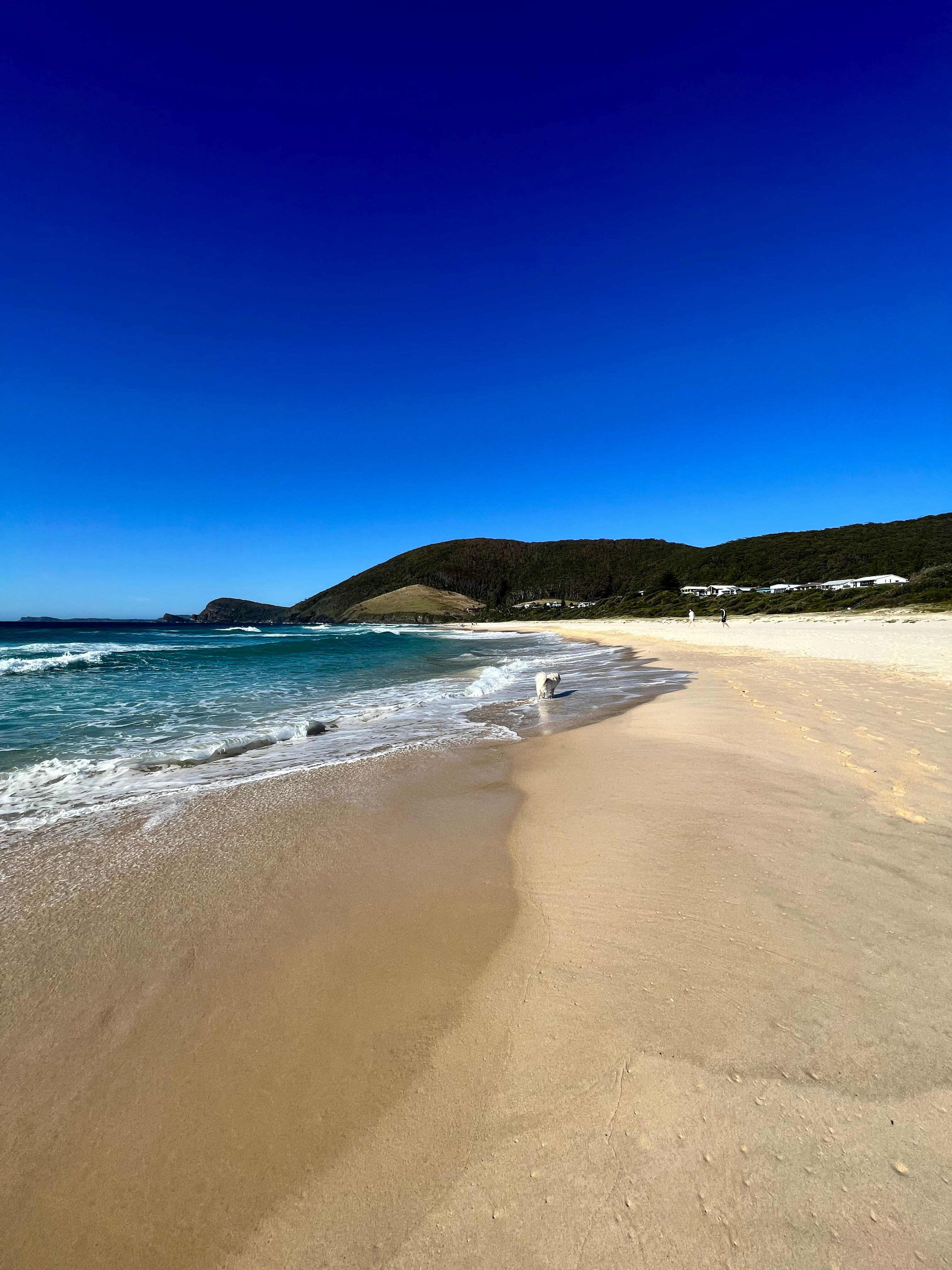 Blueys Beach Farmstayz