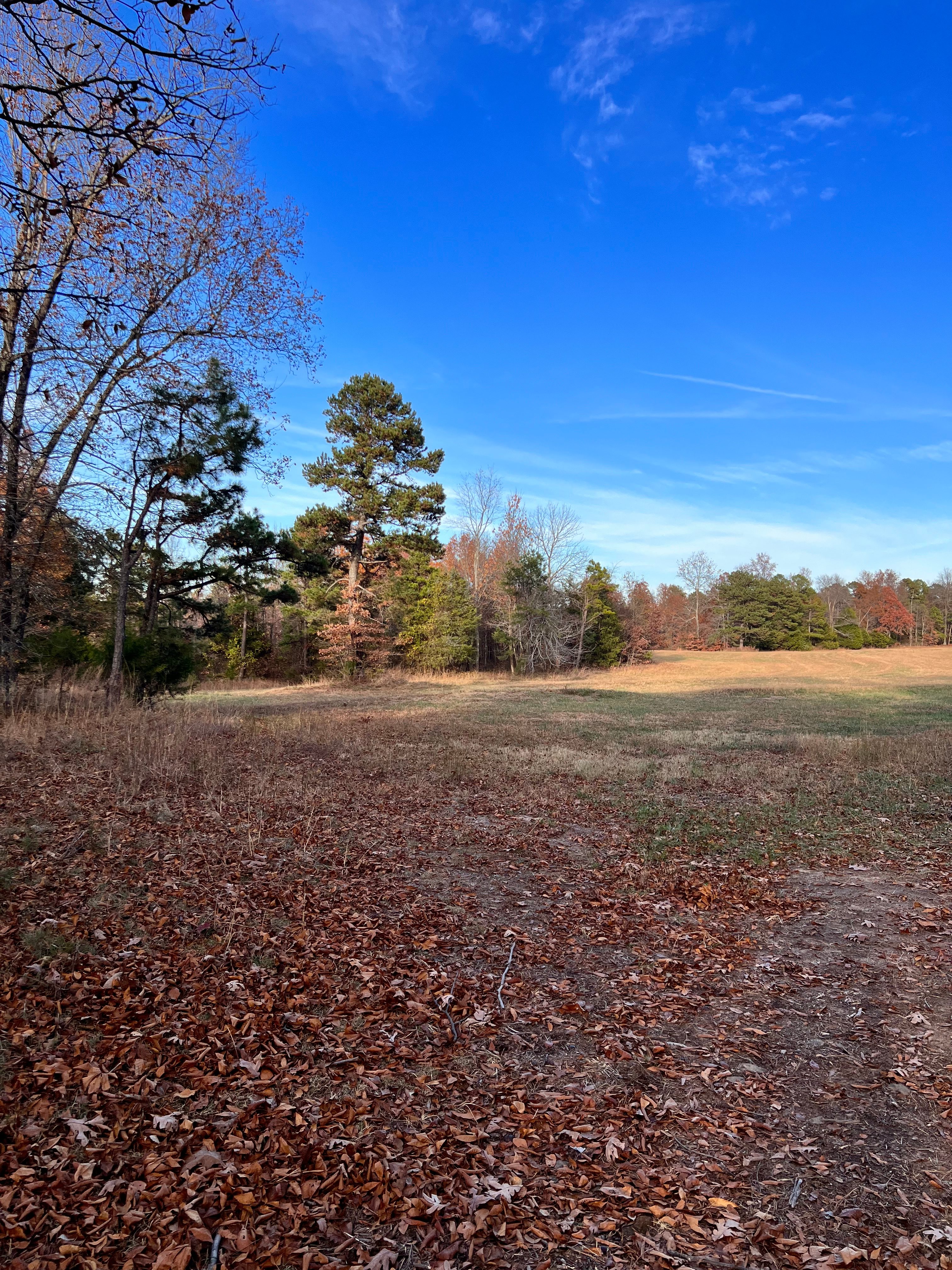 GramyBear Farm Rentals