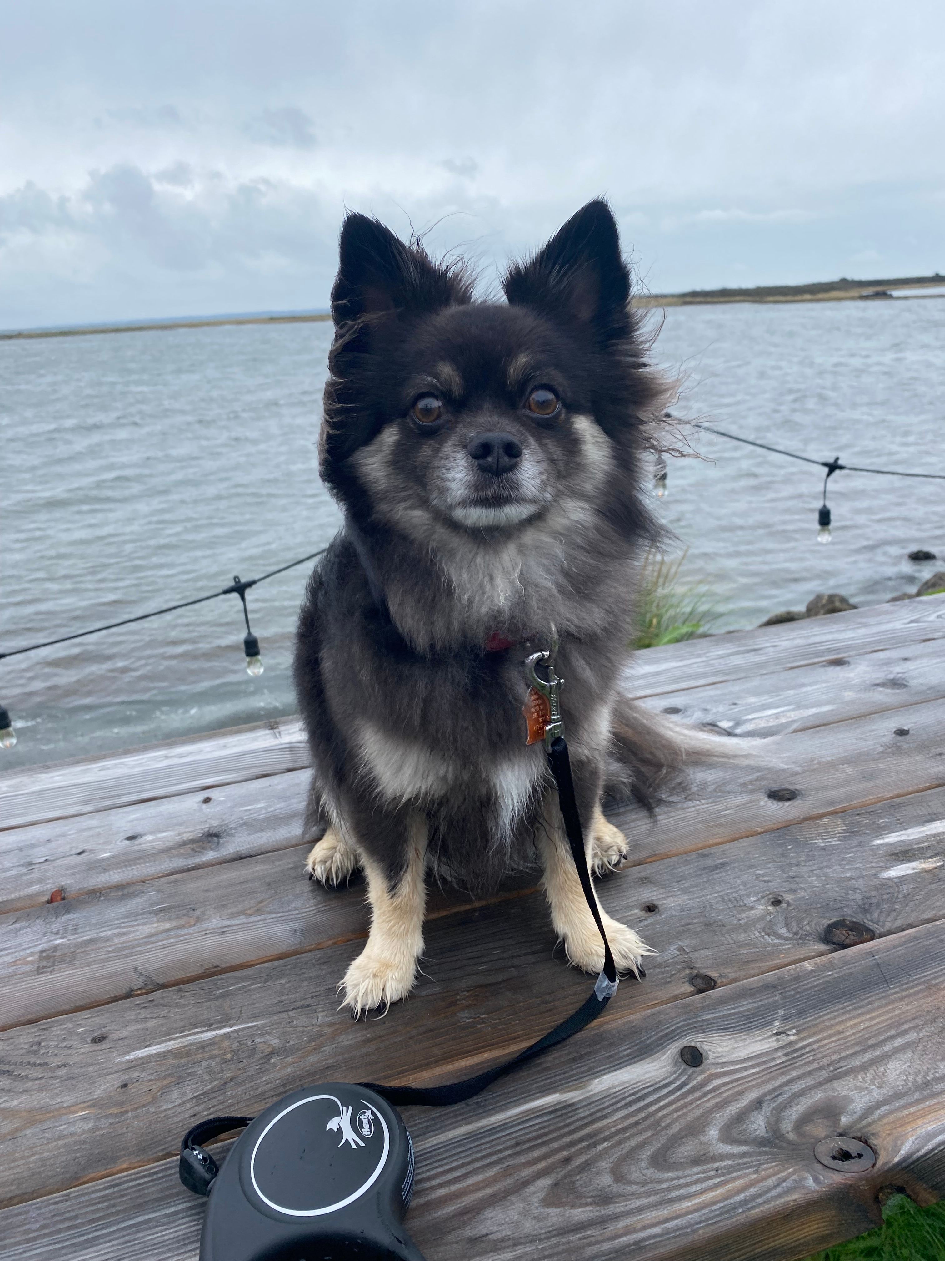 Bayshore RV Park & Guest Suites