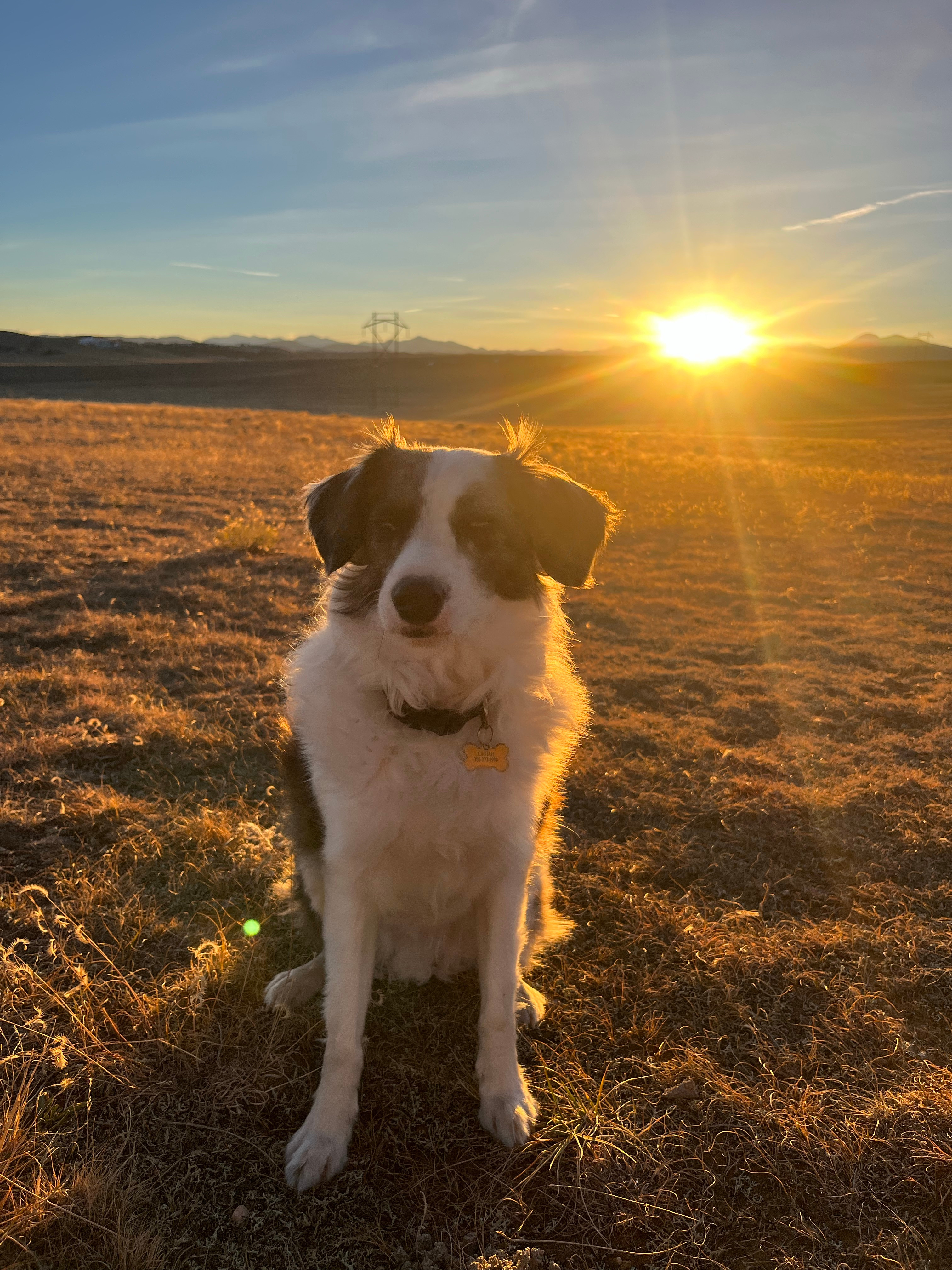 Wonderlust Off-Grid Camper