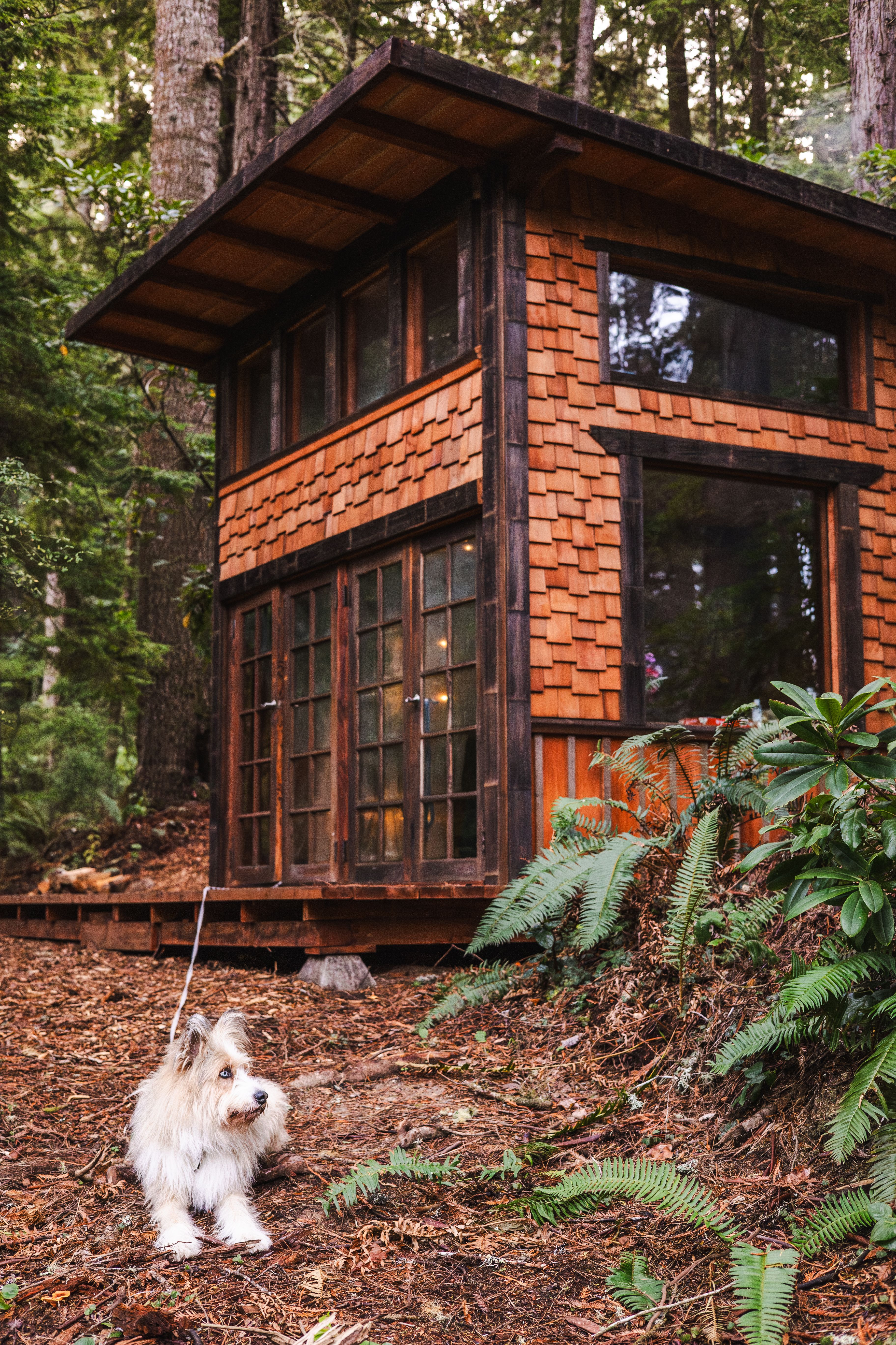 Super doggo friendly!