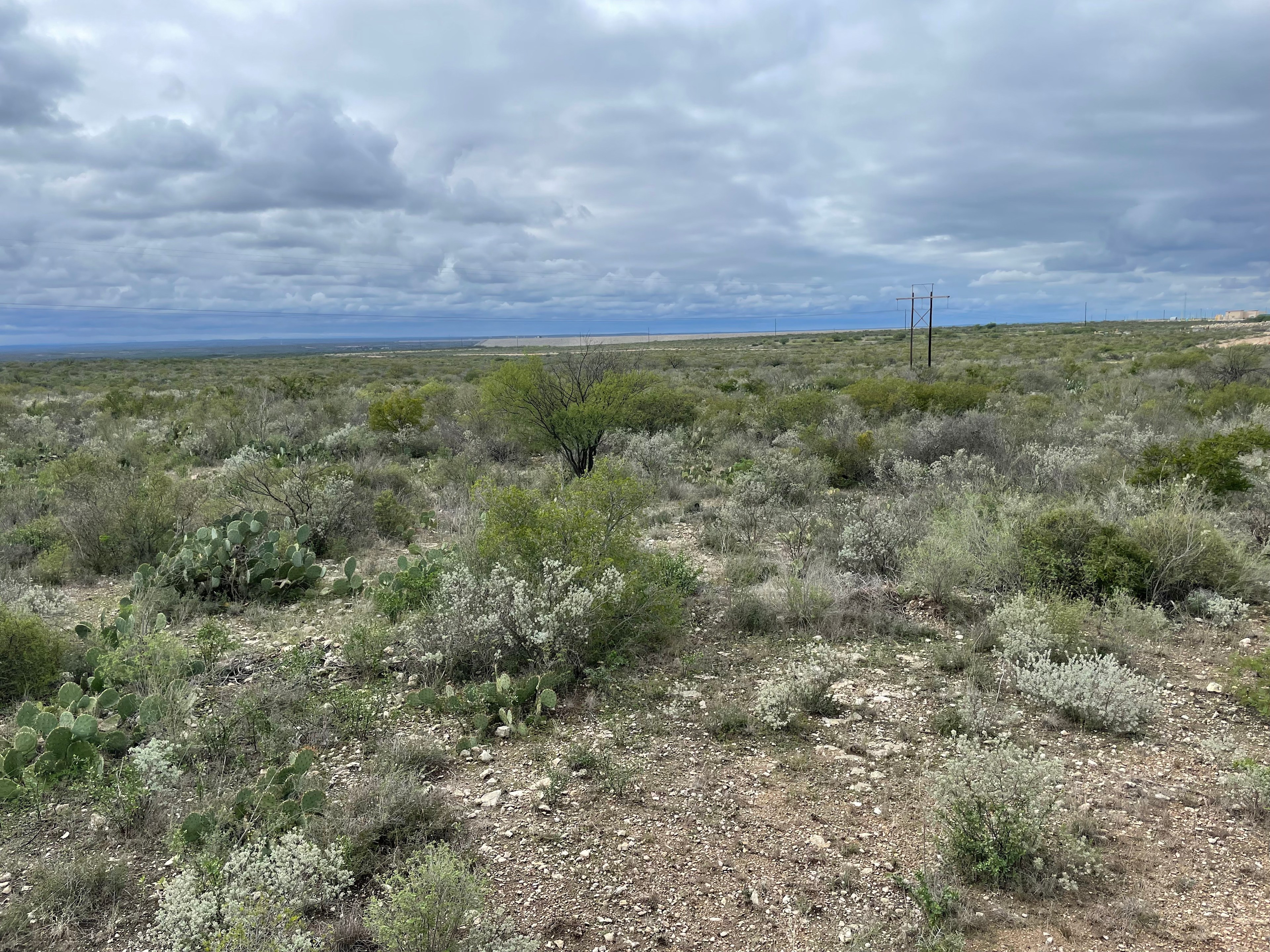Deerview Ranch