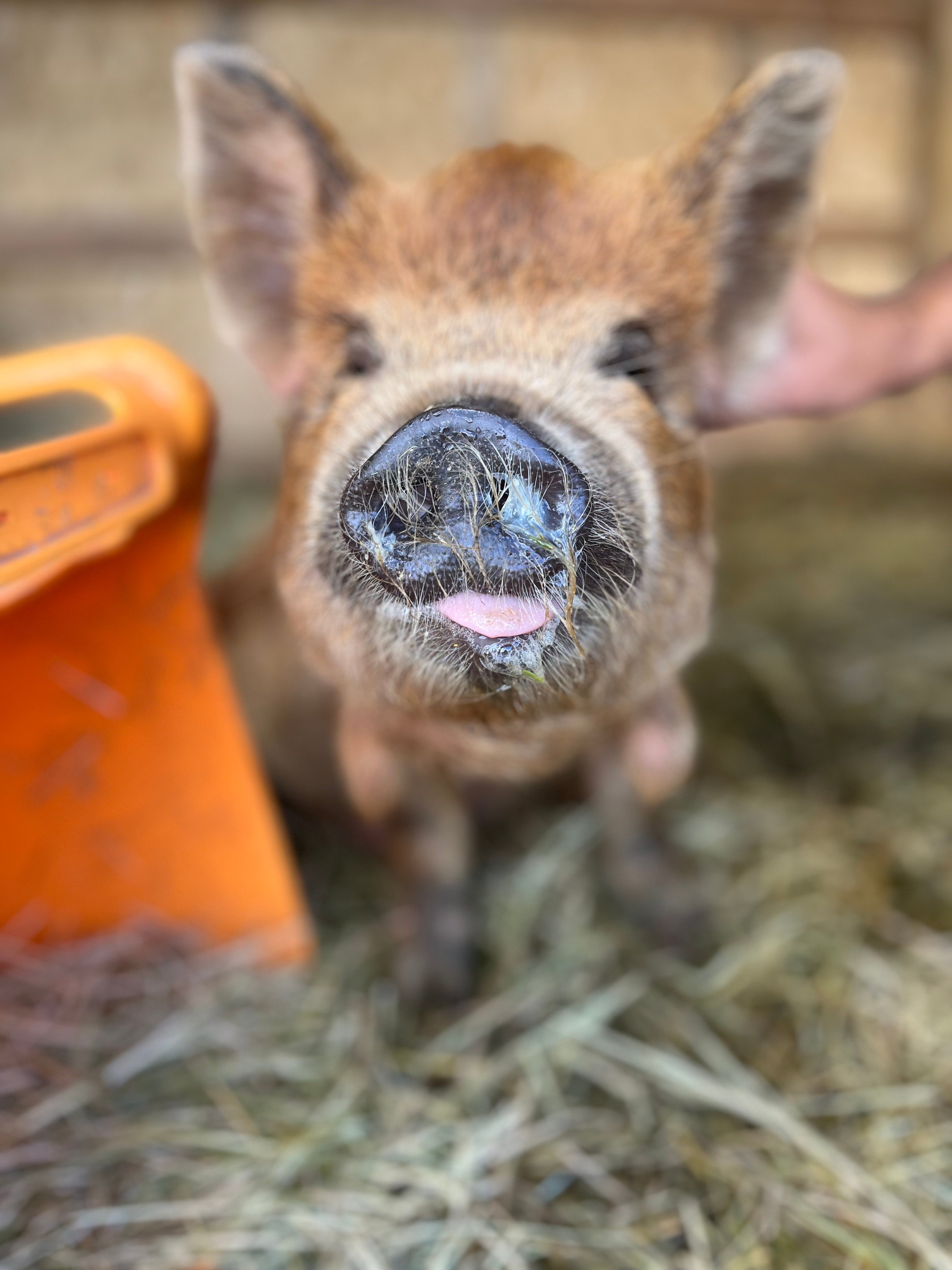 Smiling faces all around