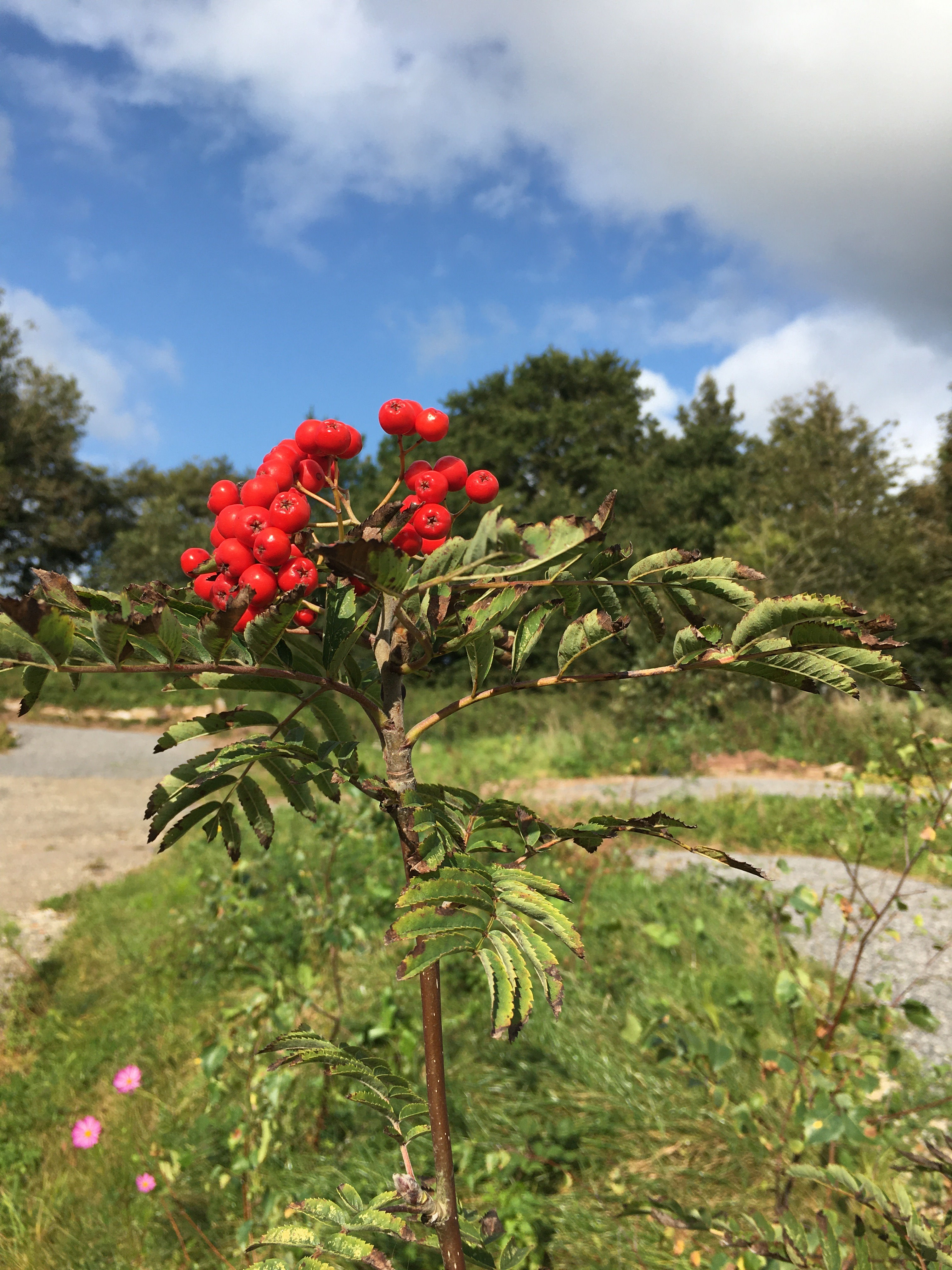 Glan Y Mor Camping