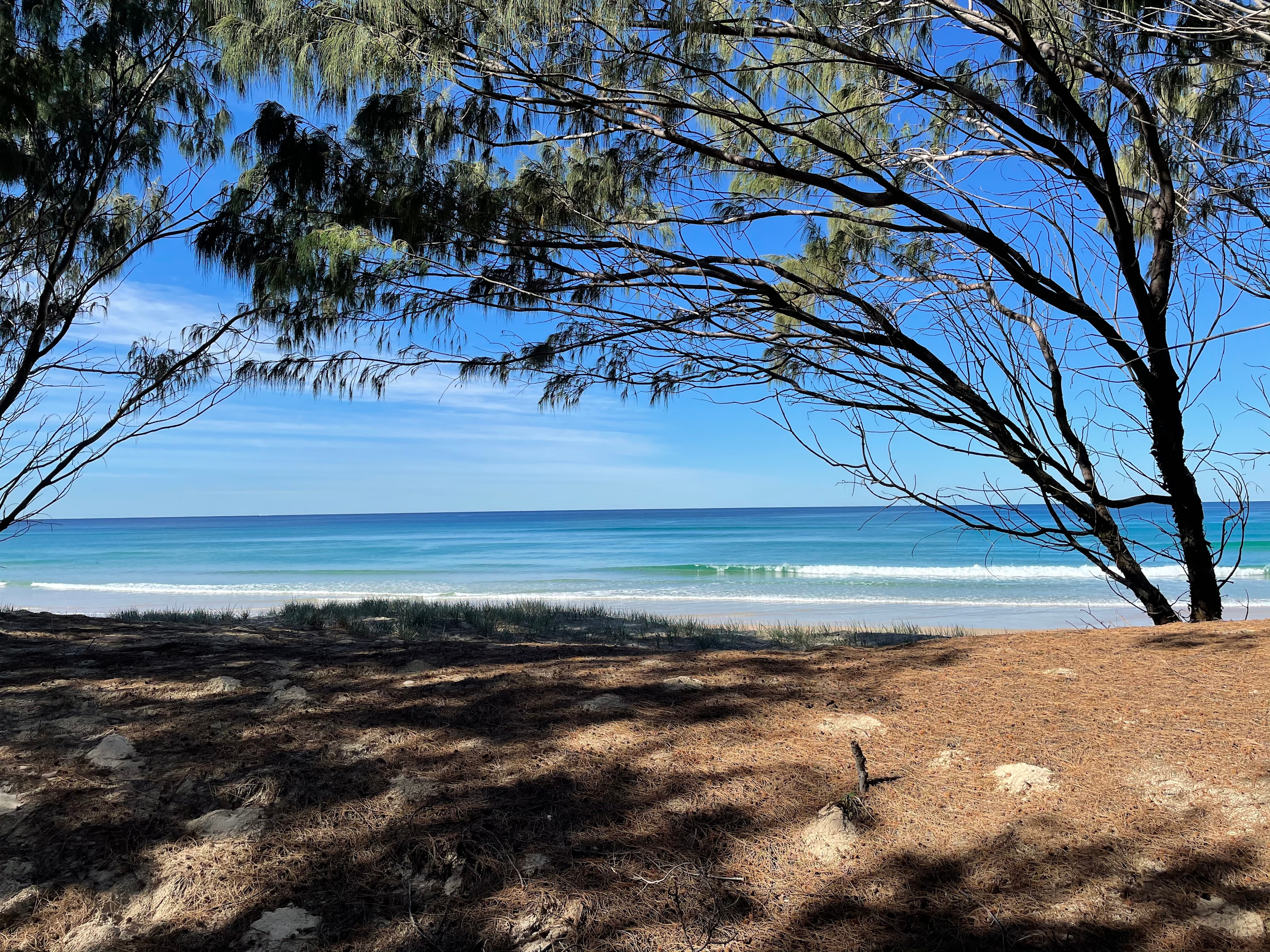 Tappy's Tours and Camping