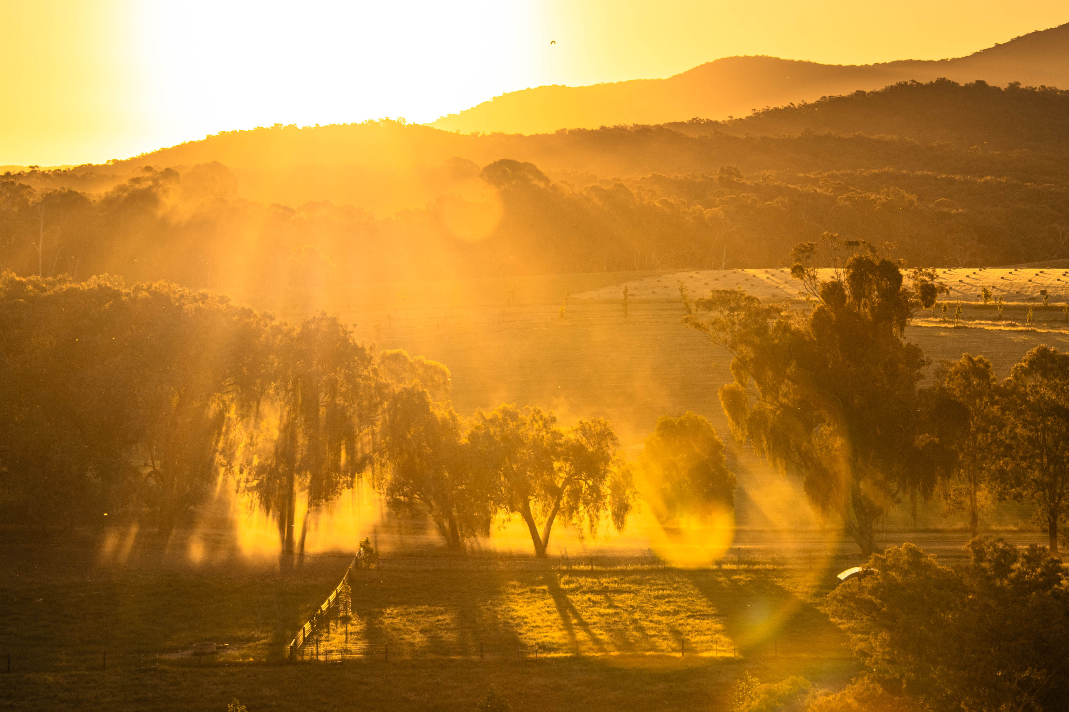 Sunlight reflecting off the dust coming from the dirt road.