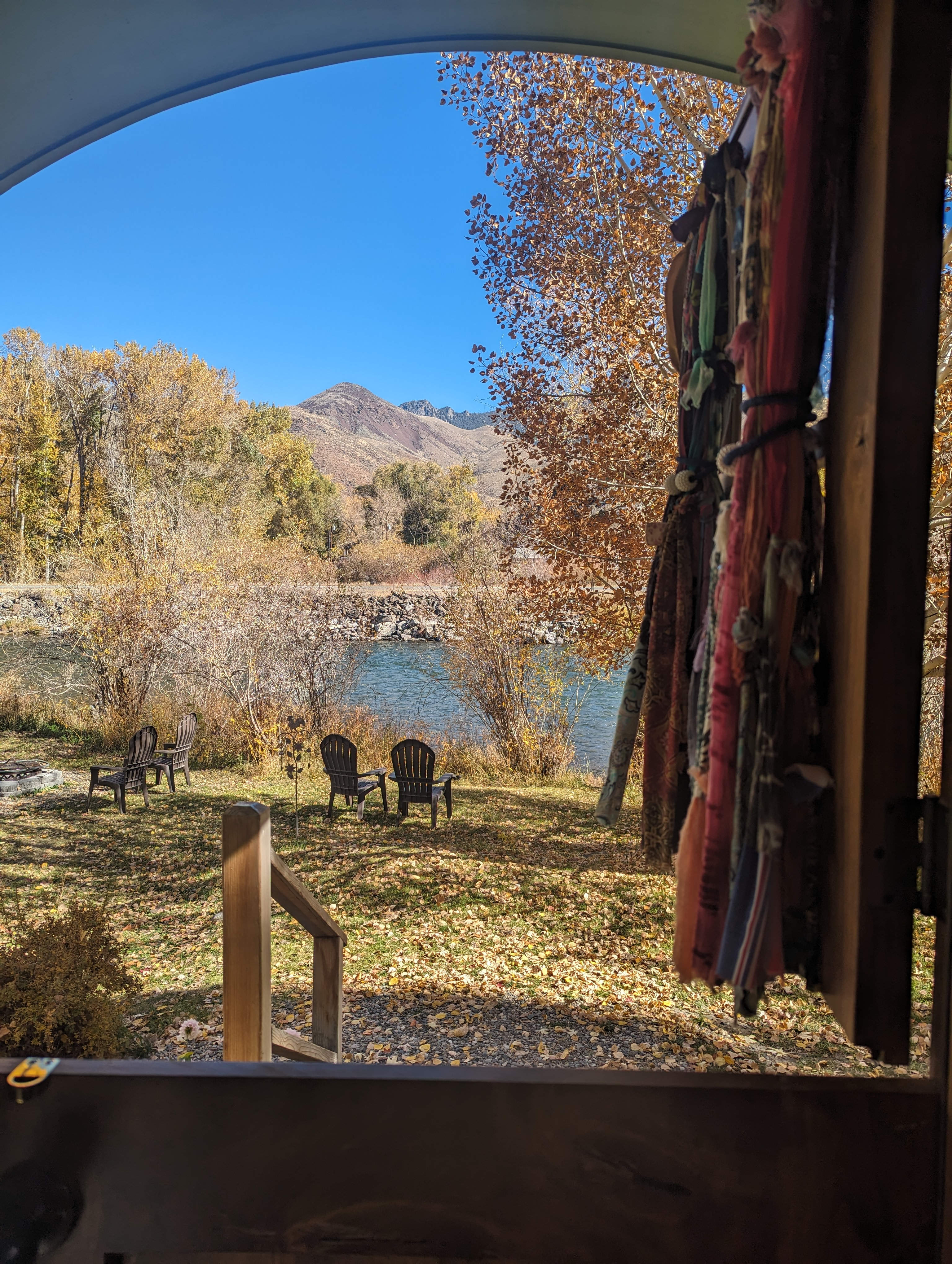 Salmon Gypsy B&B & Mini-Donkey Ranch