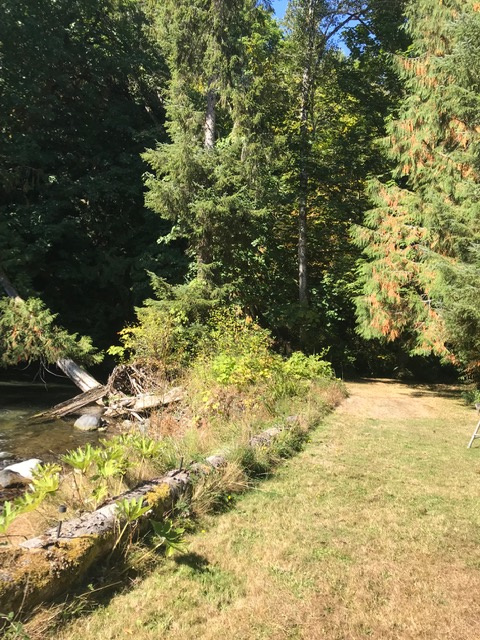 River's edge behind sites 1 and 2