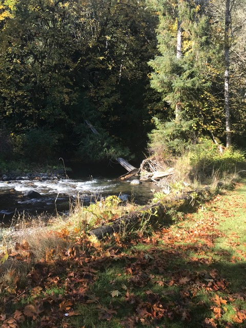 Rivers edge behind sites 1 and 2