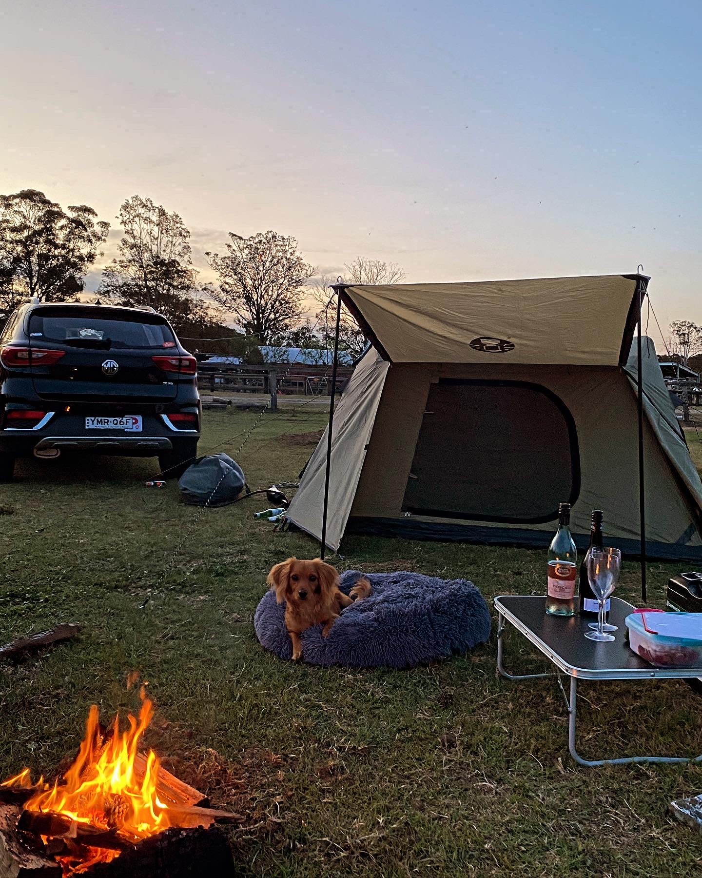 Peppertree Pony Camp