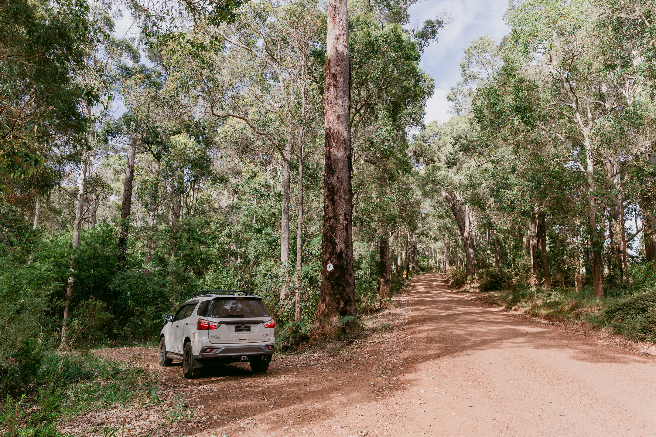 Watch for the X on the tree for the entrance off Old Vassee Rd