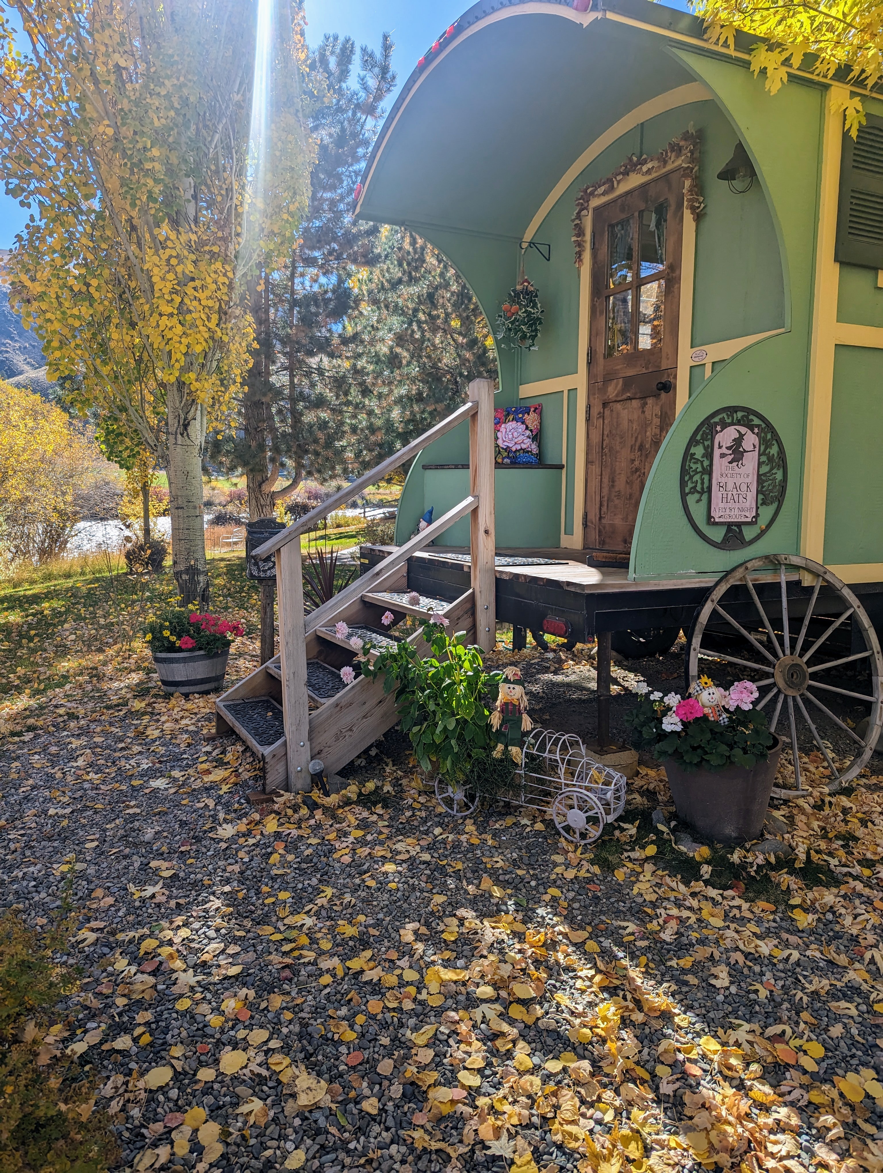 Salmon Gypsy B&B & Mini-Donkey Ranch