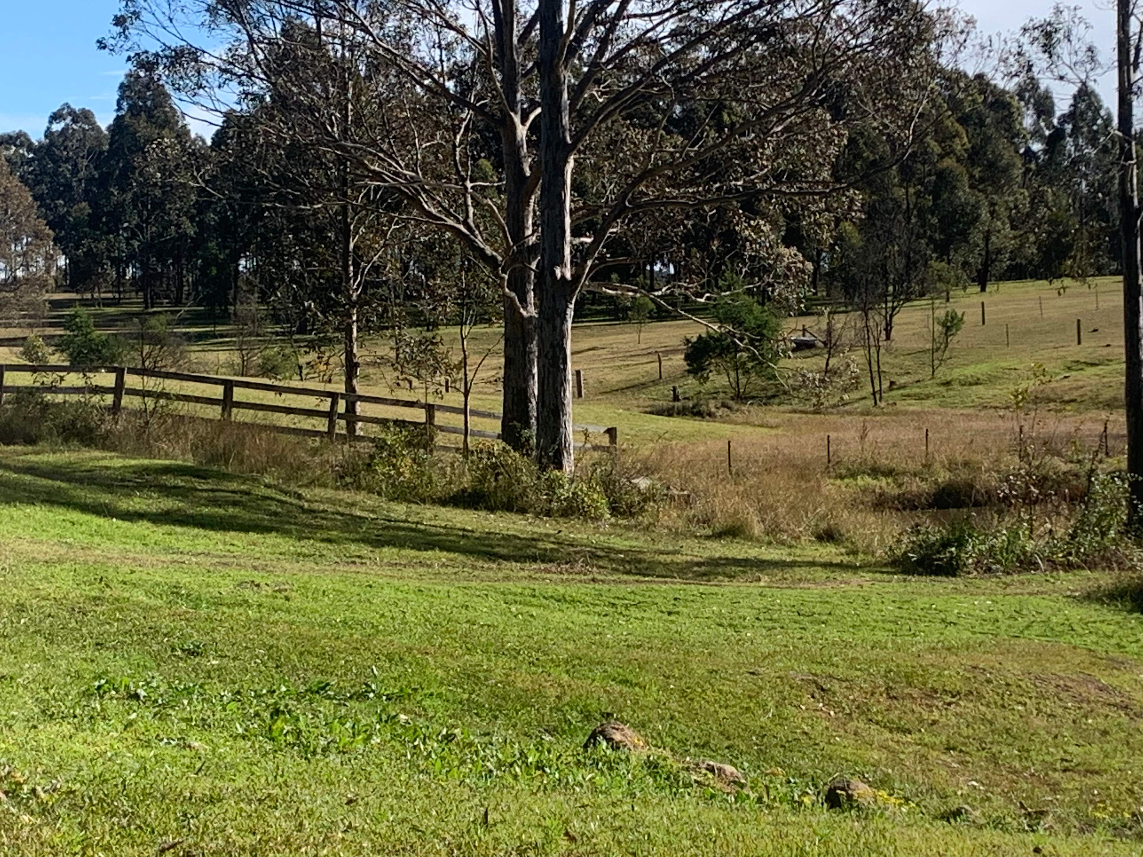 Currambene Creek Farm