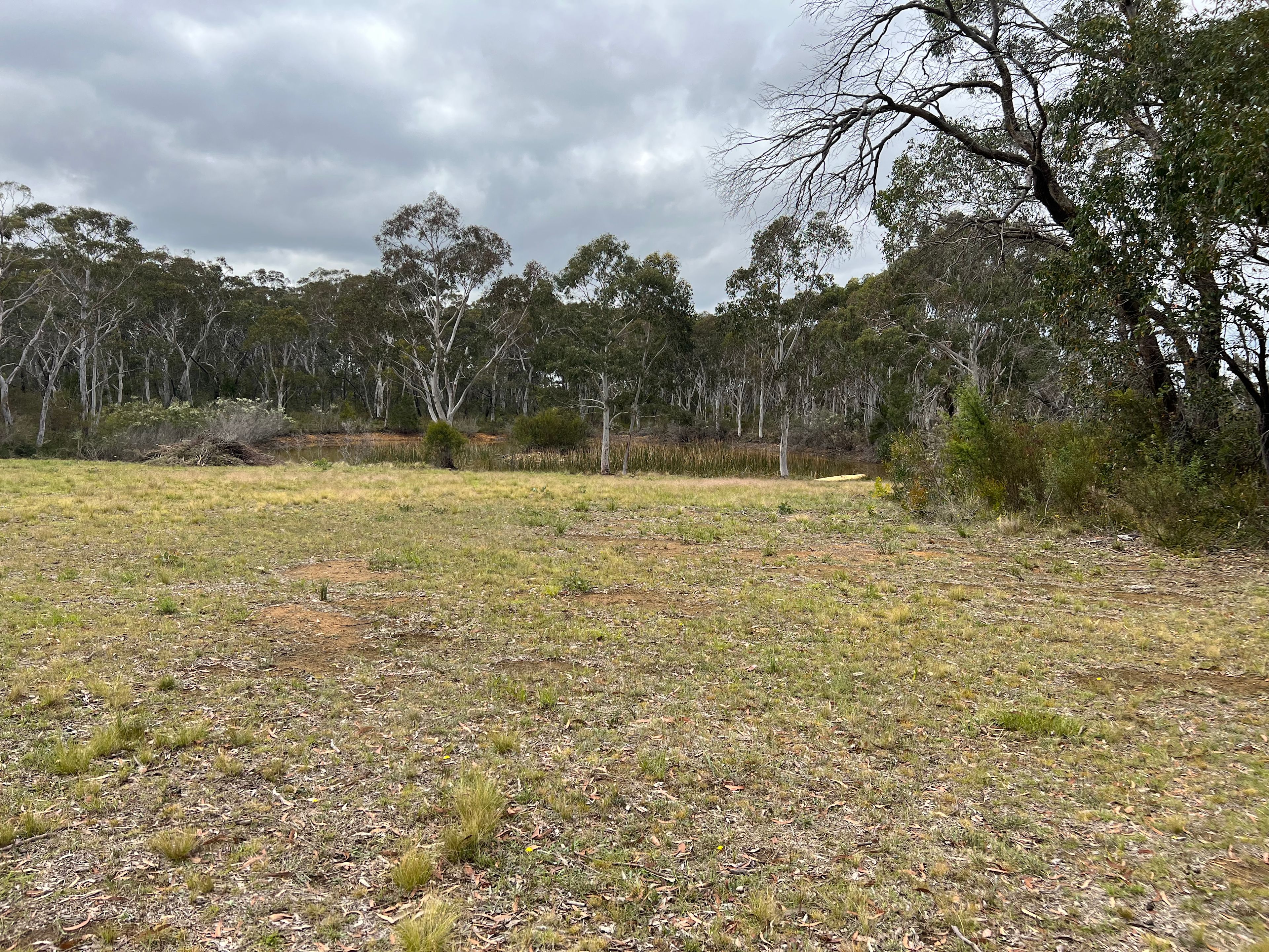 Noonameena - Sleep in the Bush