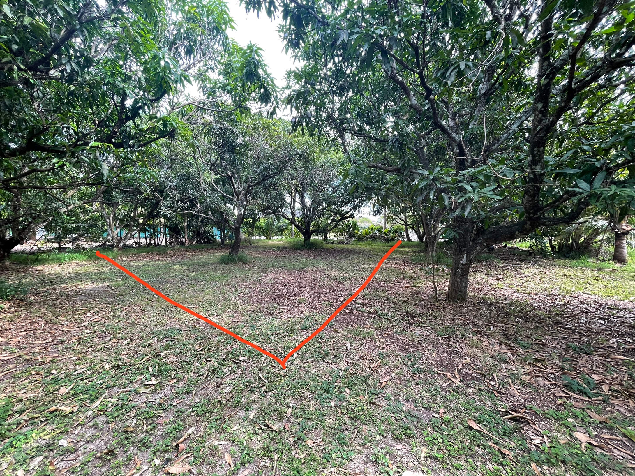 Camp space wide view