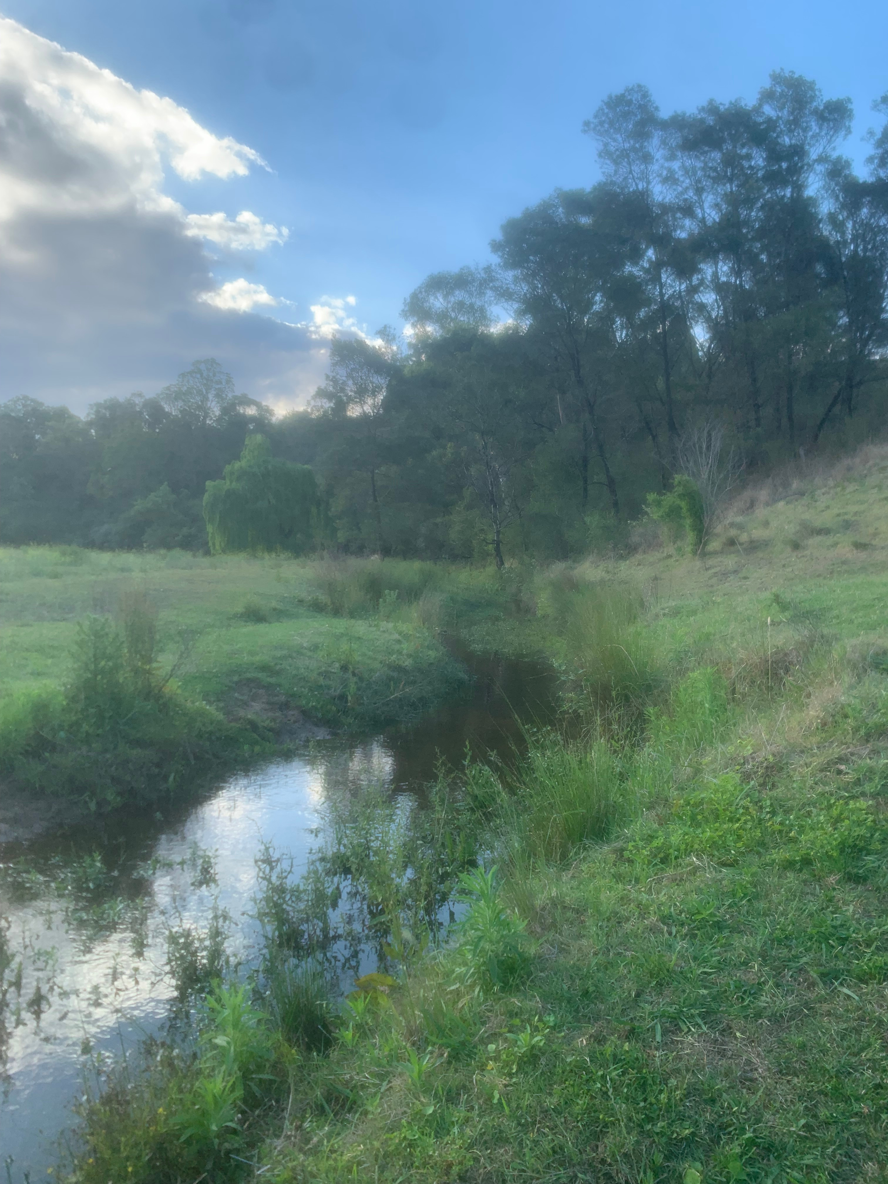 Our creek running through our property
