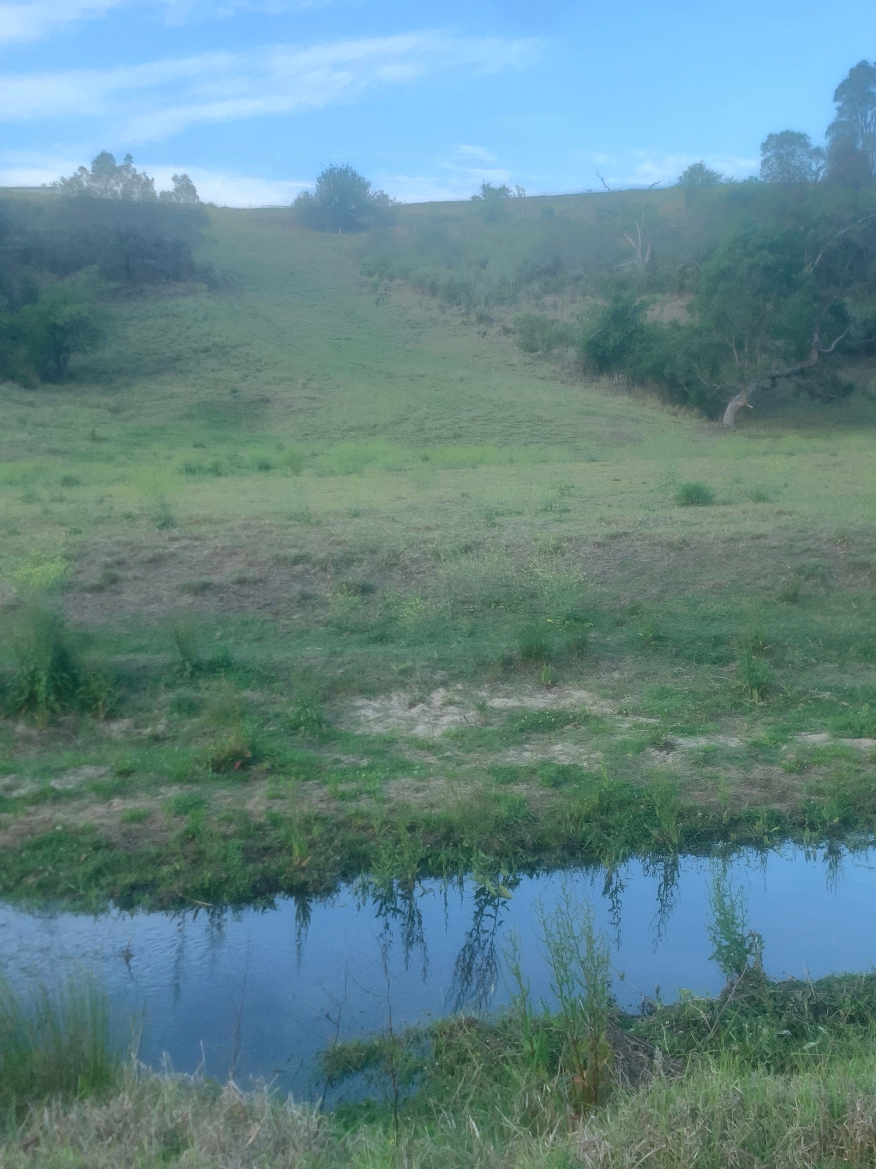 Our creek running through our property