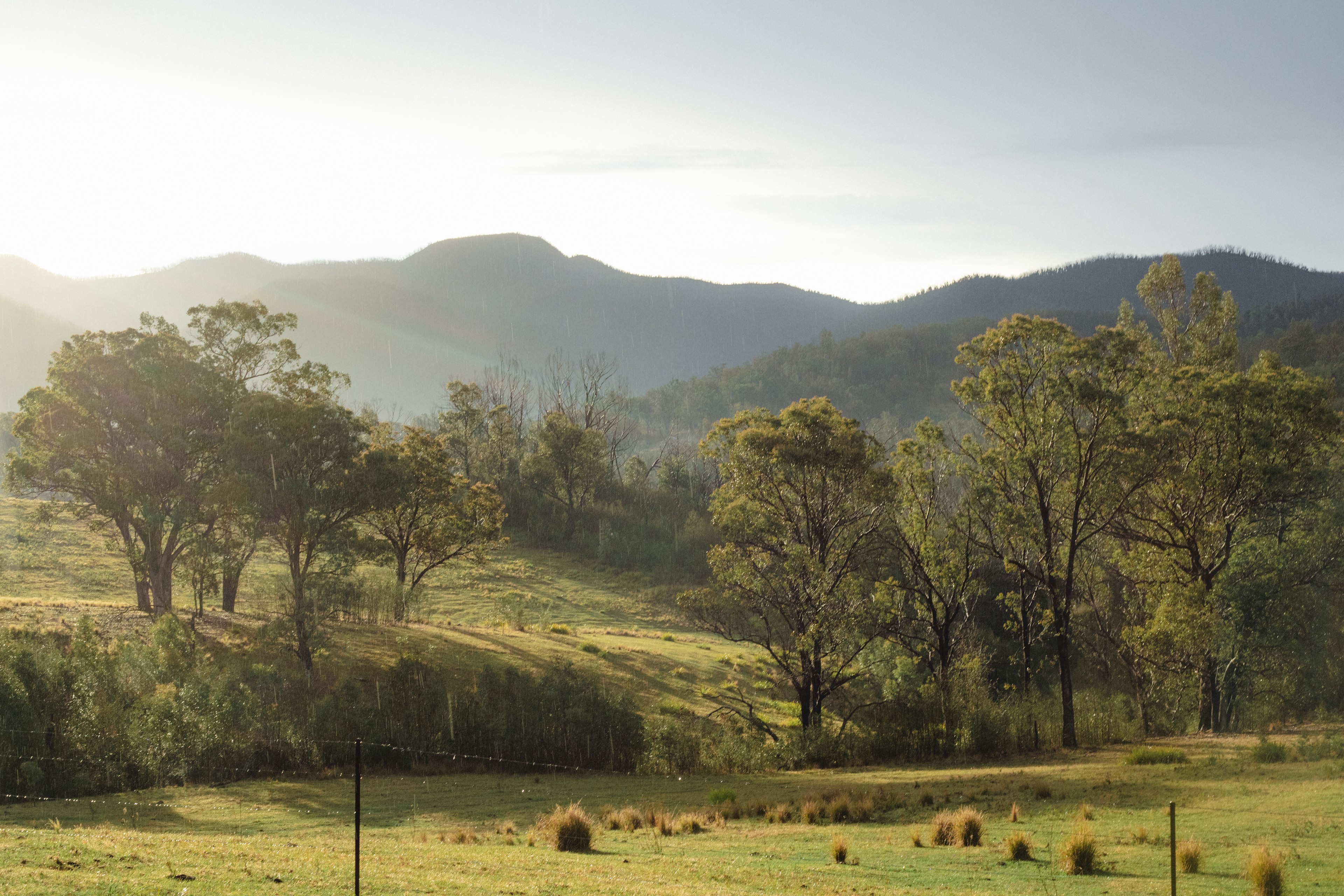 The view from camp