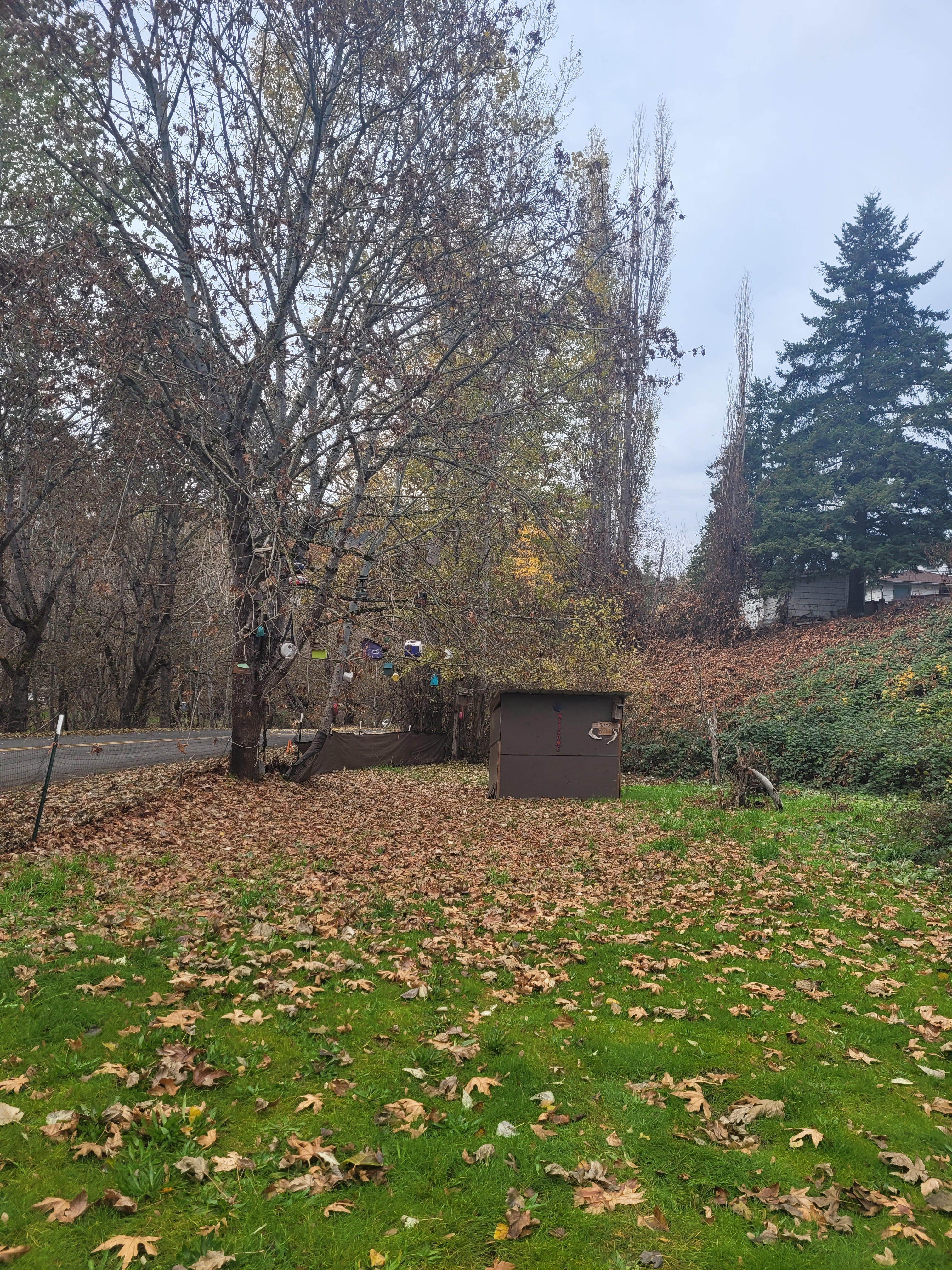 Mosier creek csmp