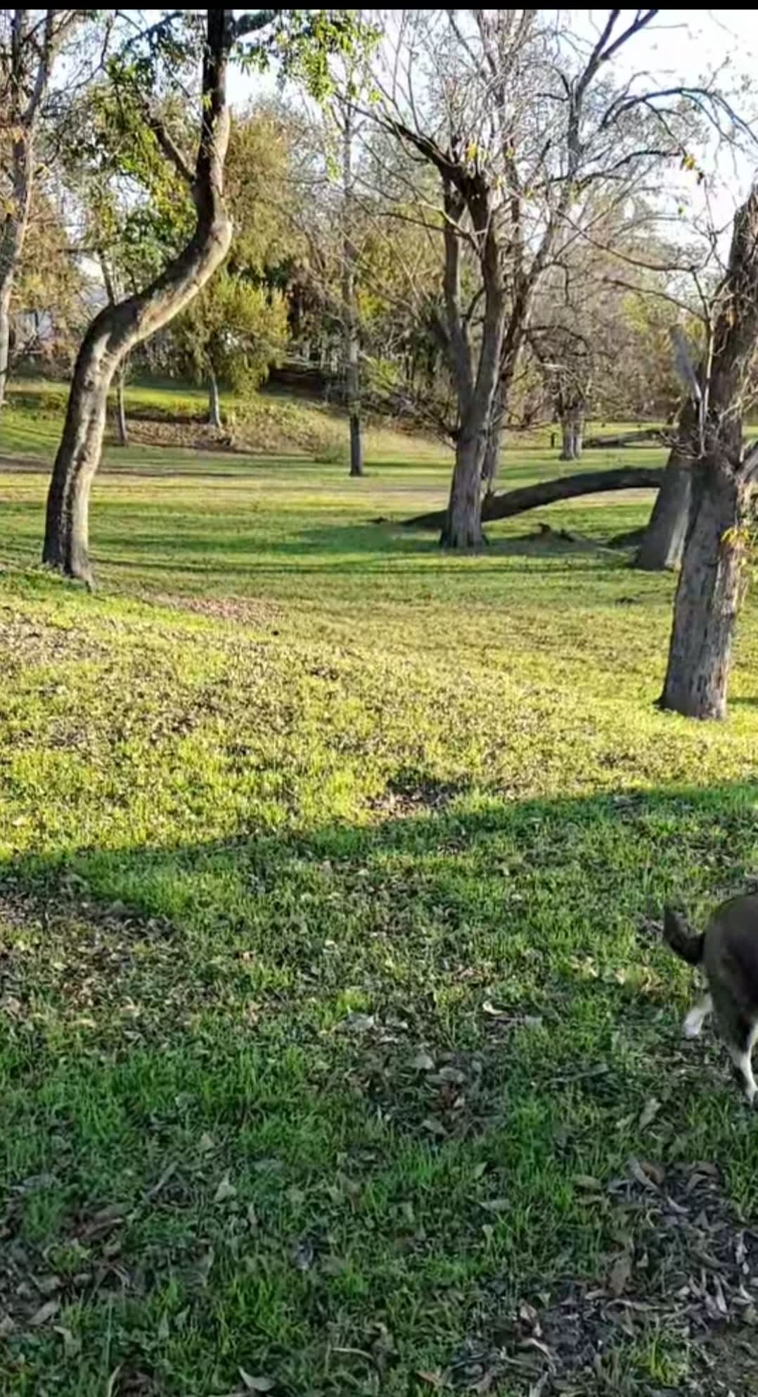 Rio Frio RV Park & Campground