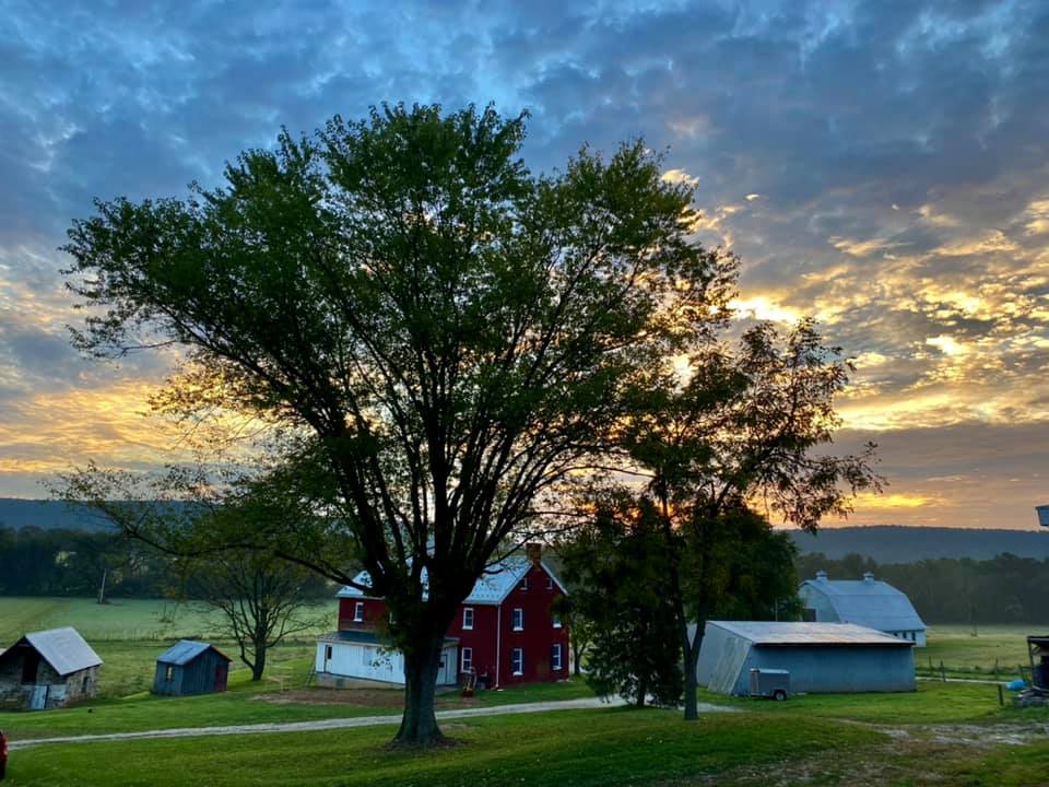 Happy Heart Highlands and Alpacas