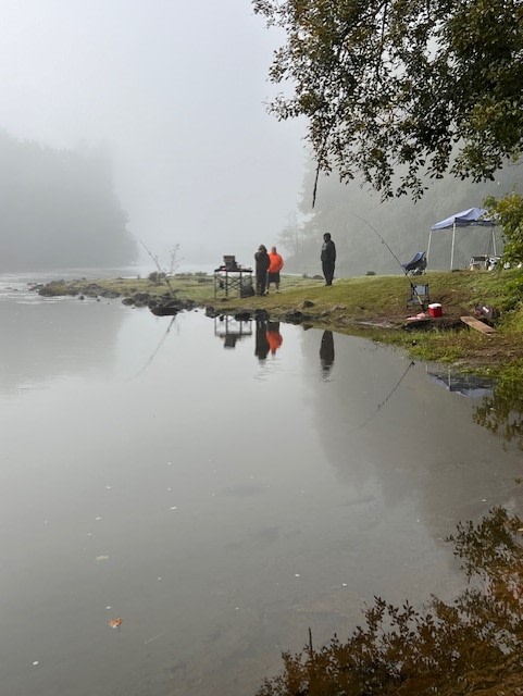 Cowlitz River Camping