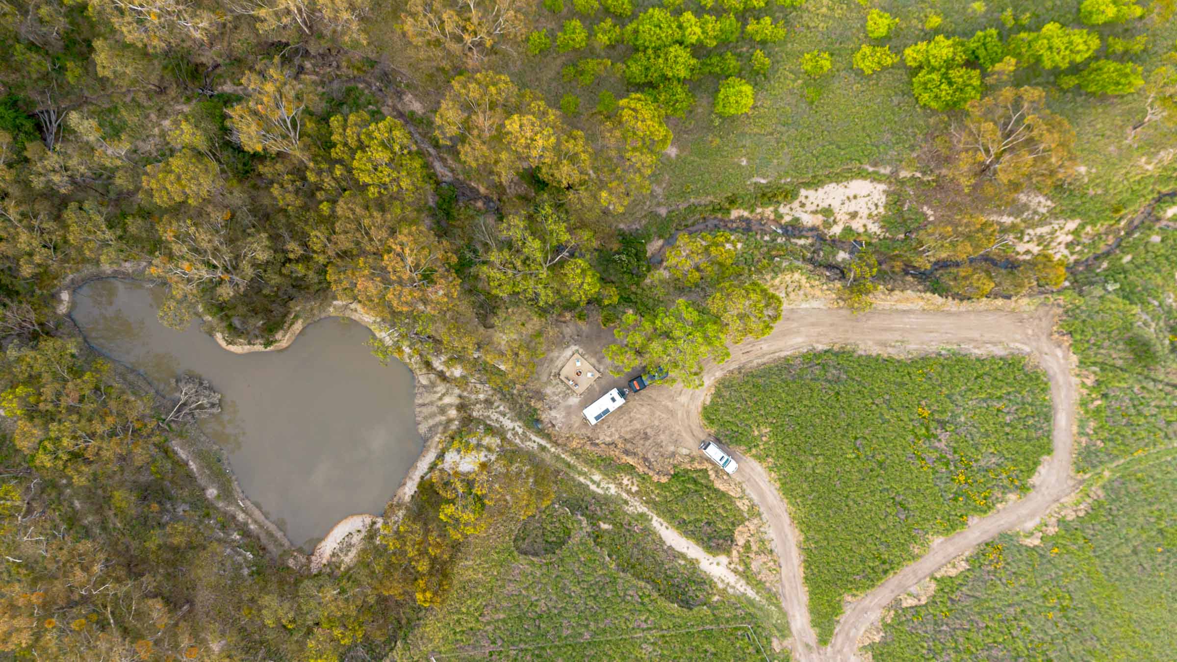 Speakeasy Vineyard
