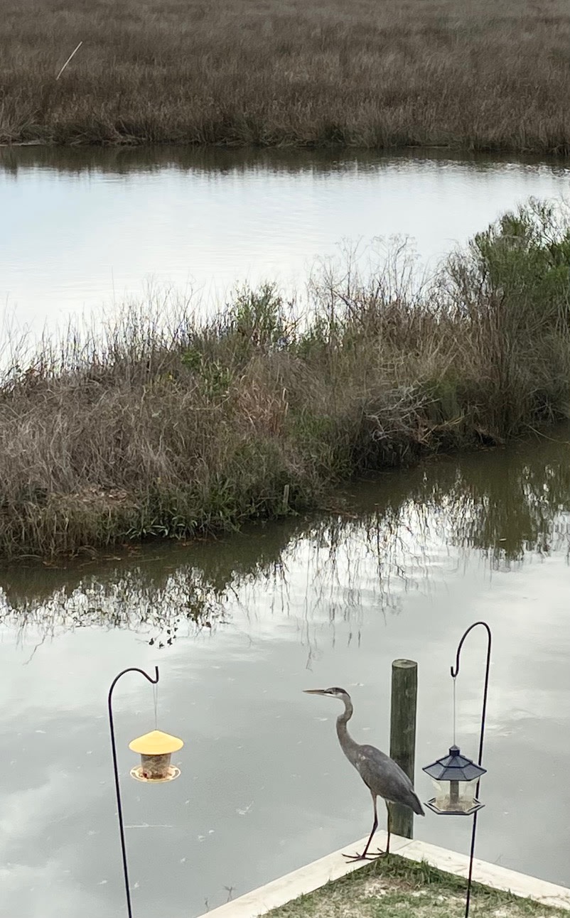 Gulf Shores Waterfront RV Getaway