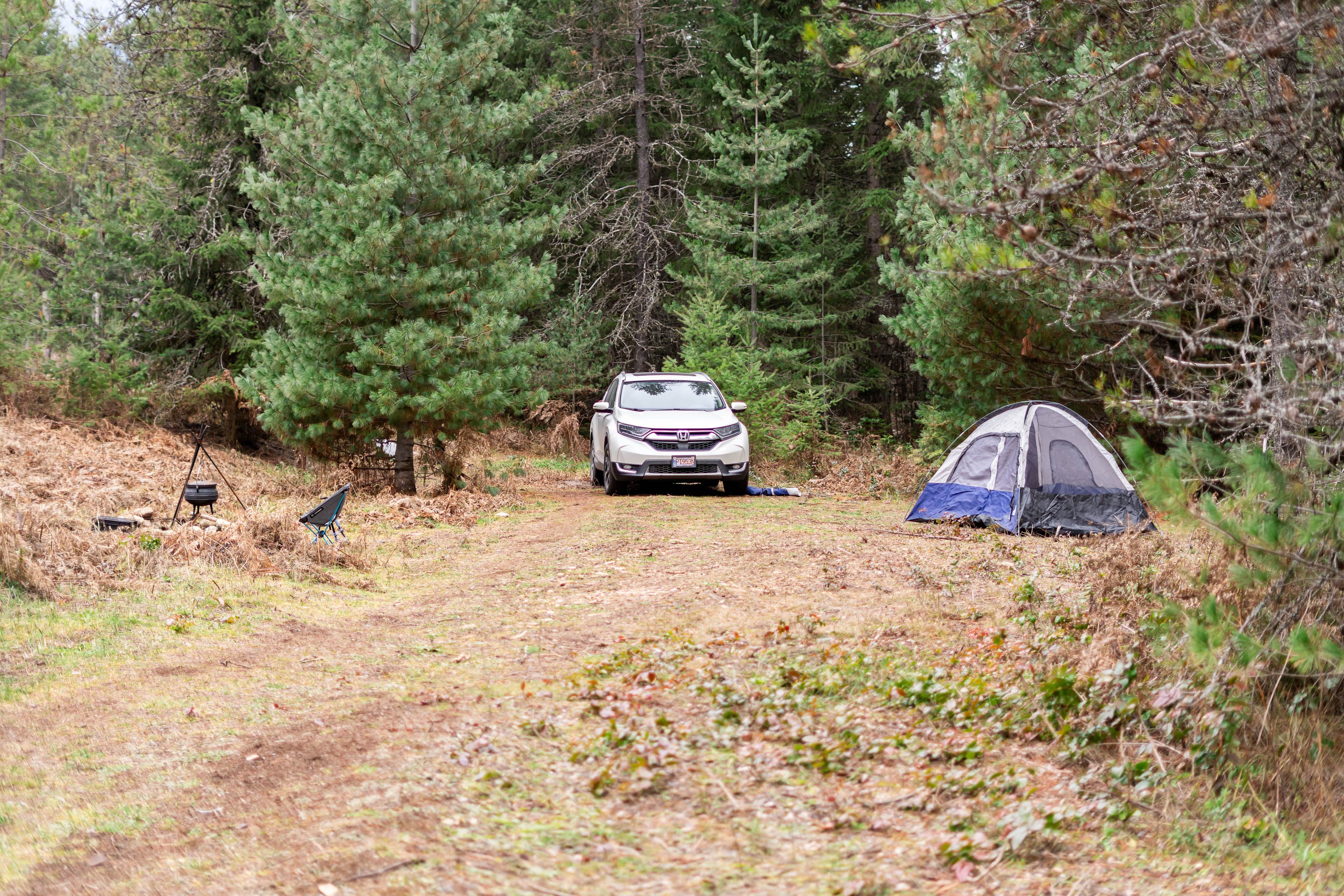 This is the main campsite with the fire pit