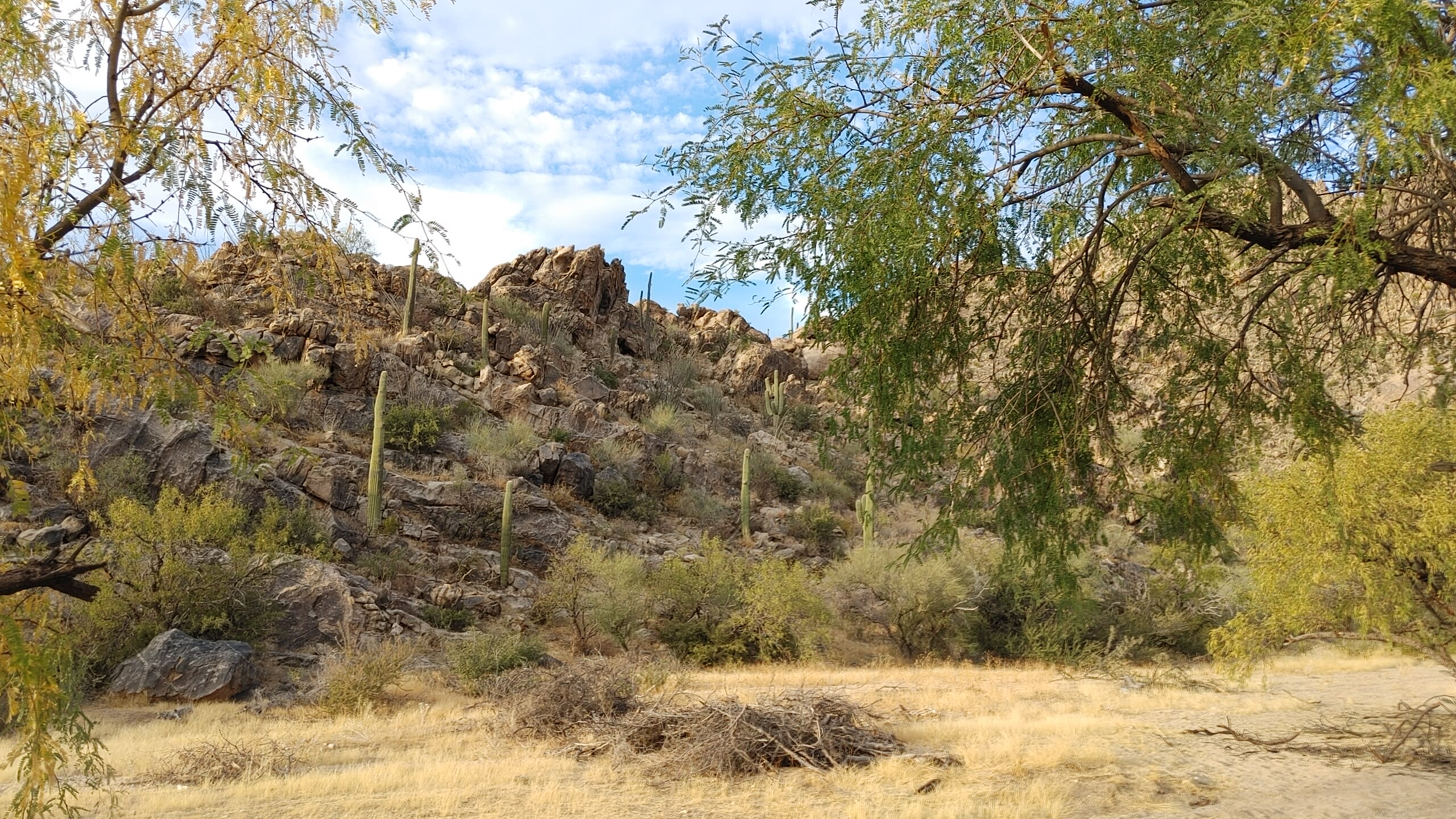 Awesome site must park and hike to camp