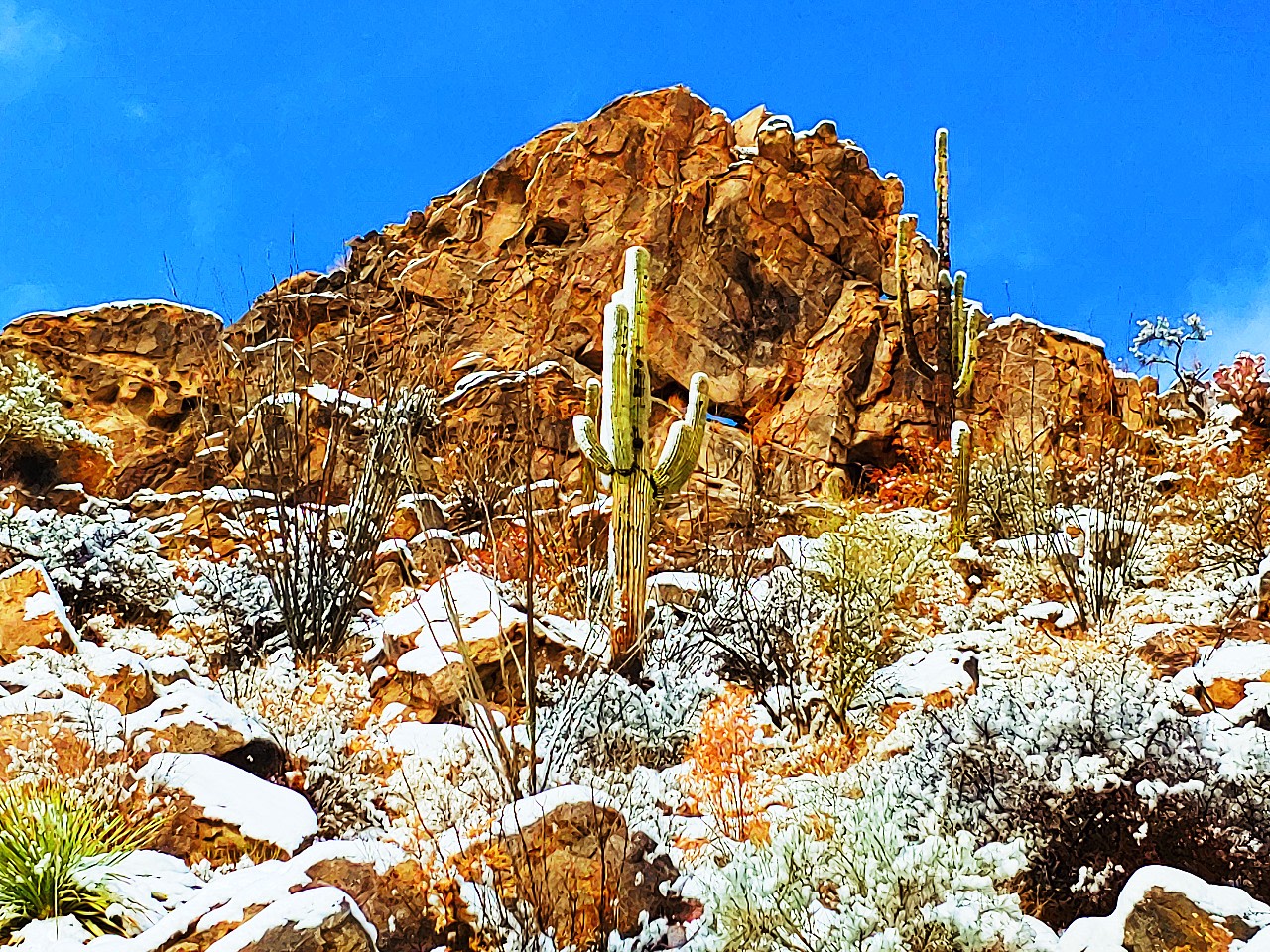 Epic Private 300 Acre Saguaro Park