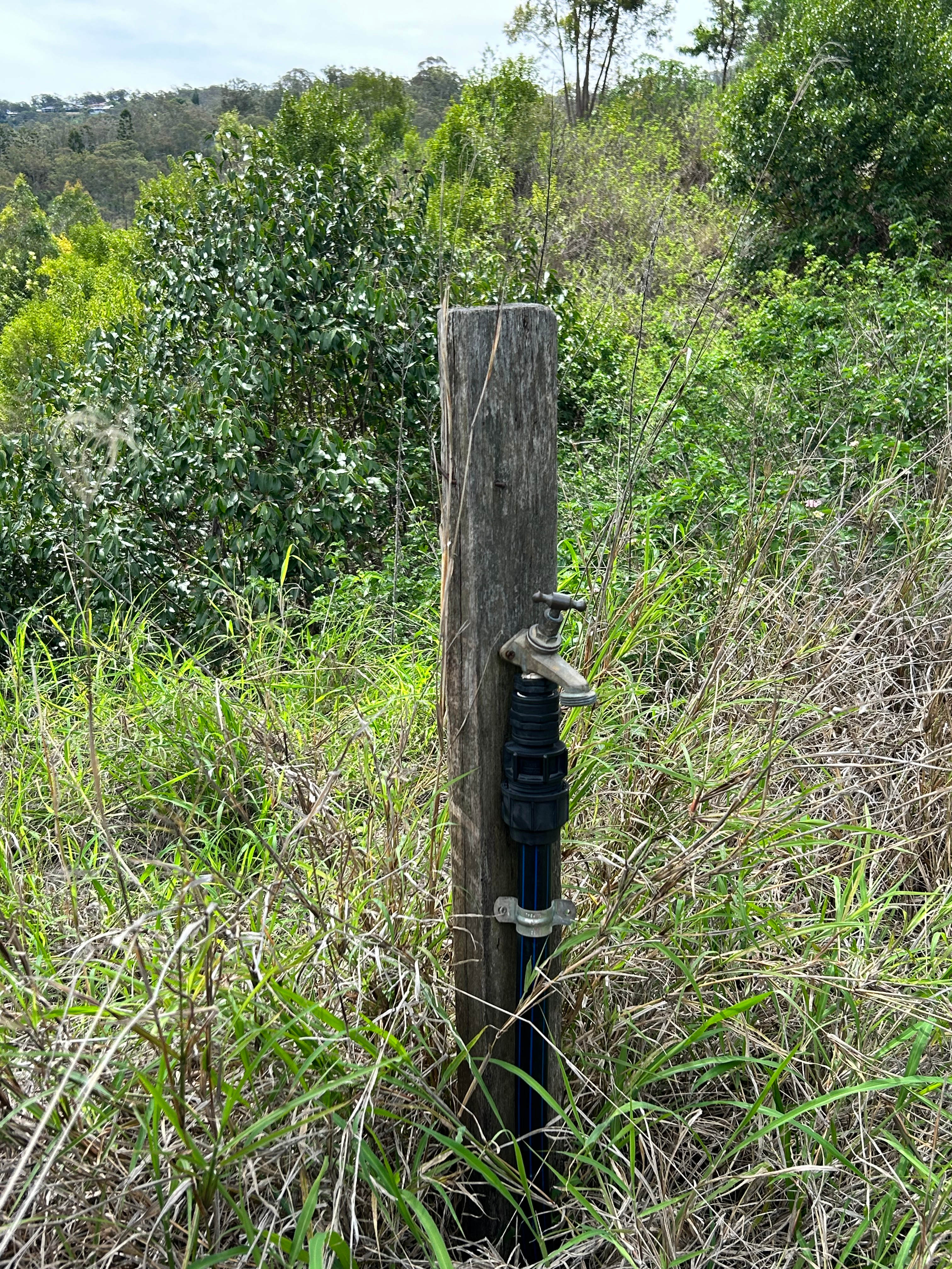 A tap for limited use