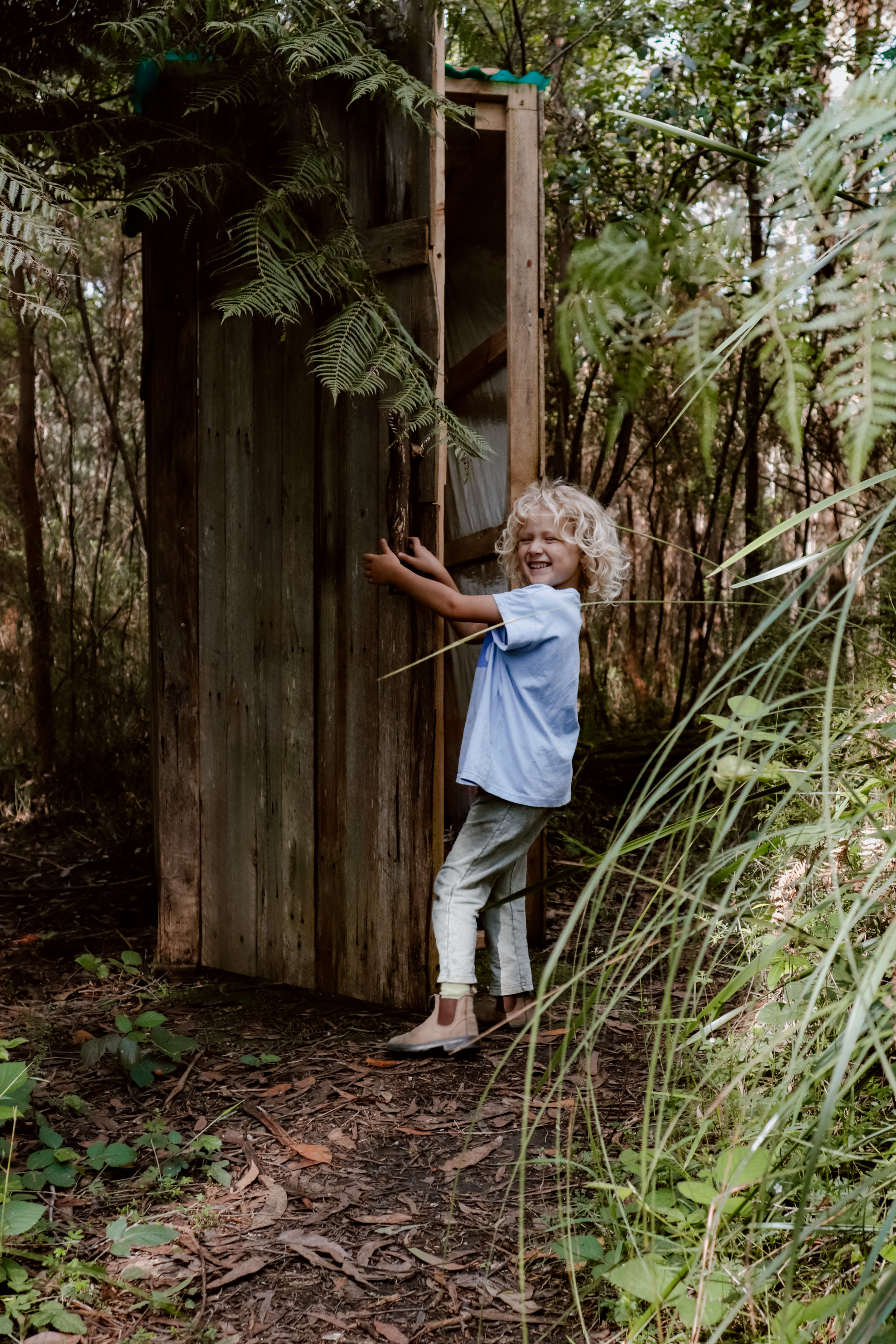 Toolangi Springwater Forest Camp