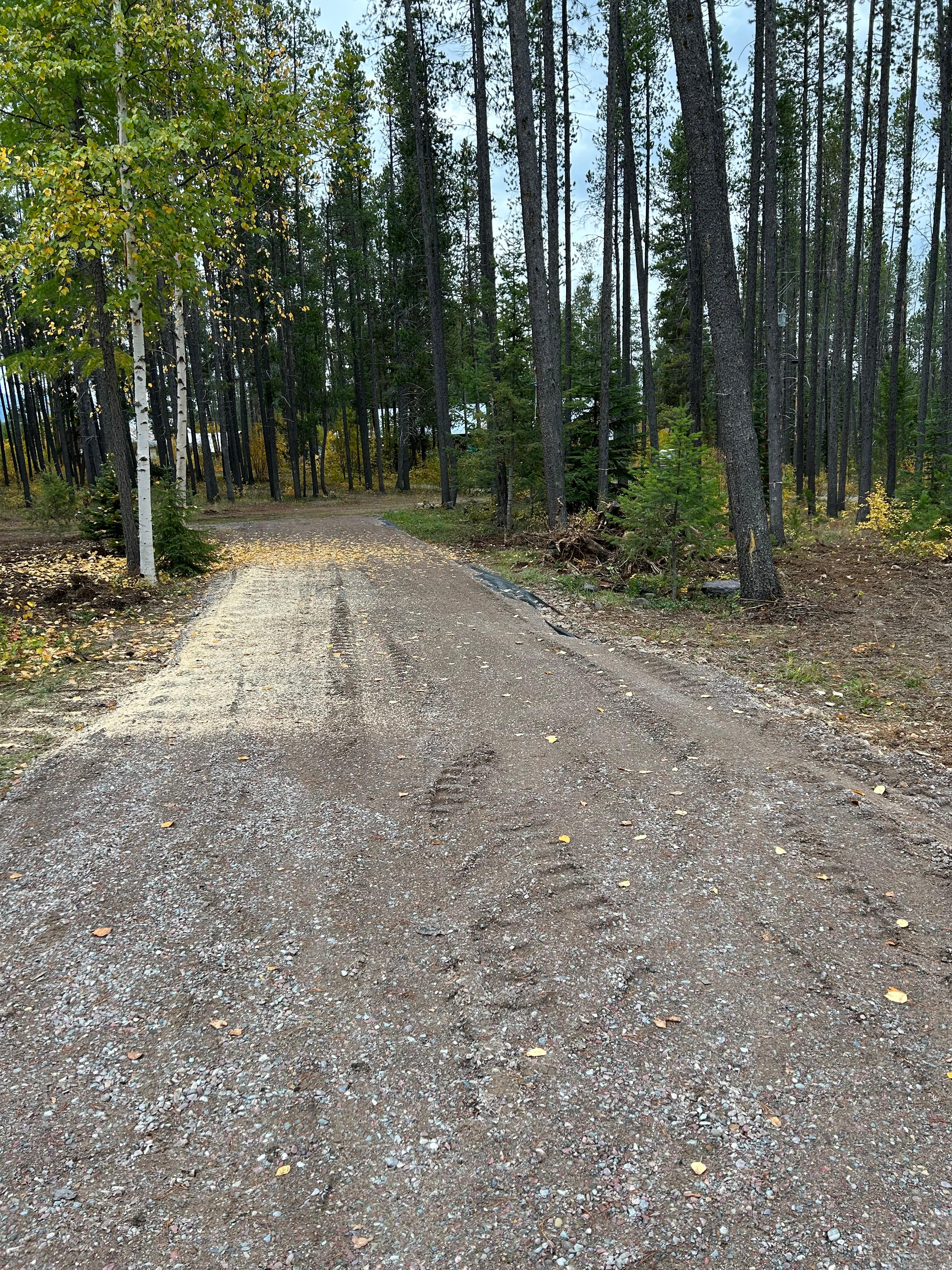 Camp Caribou