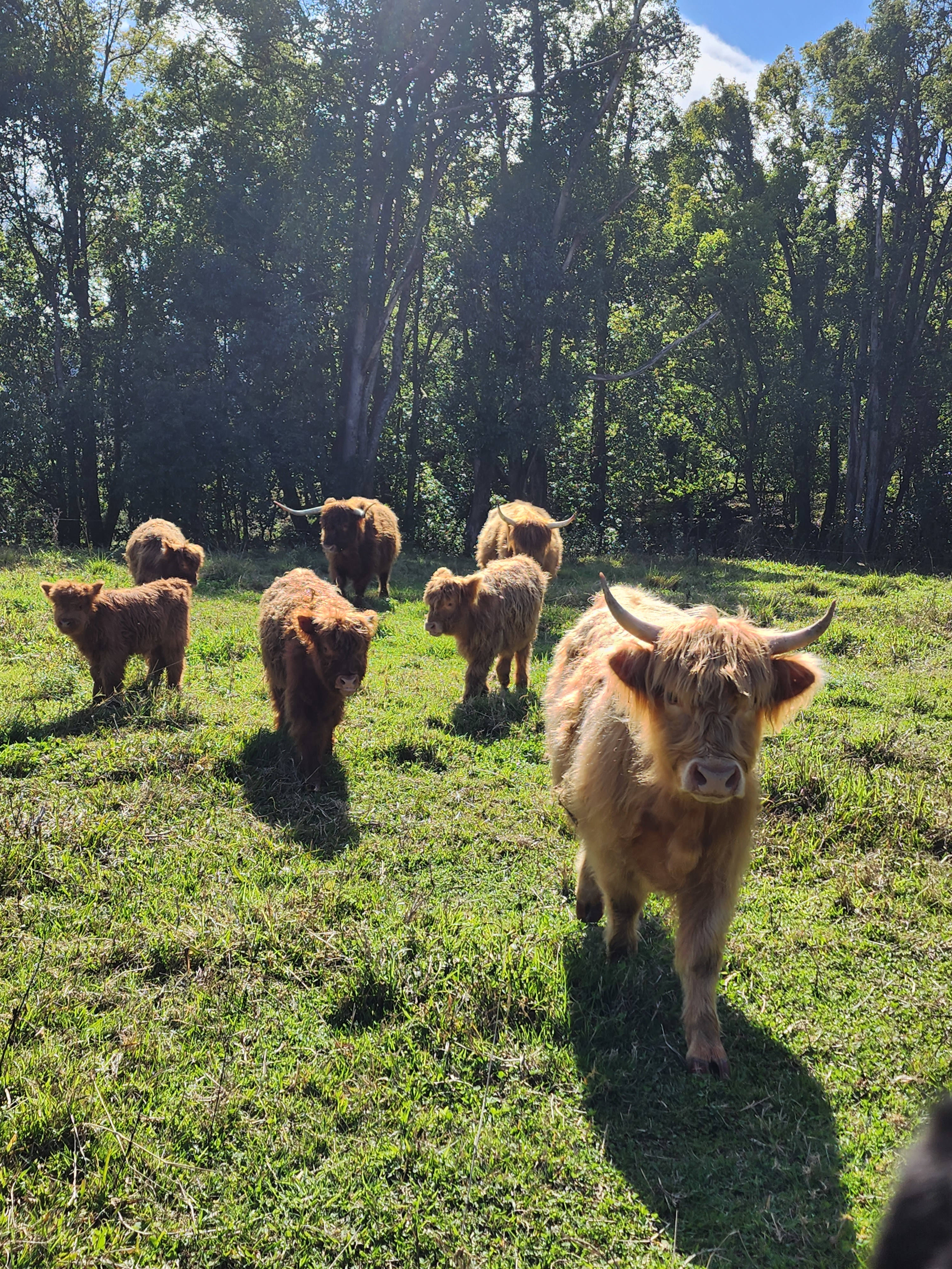 When they move out you can move in