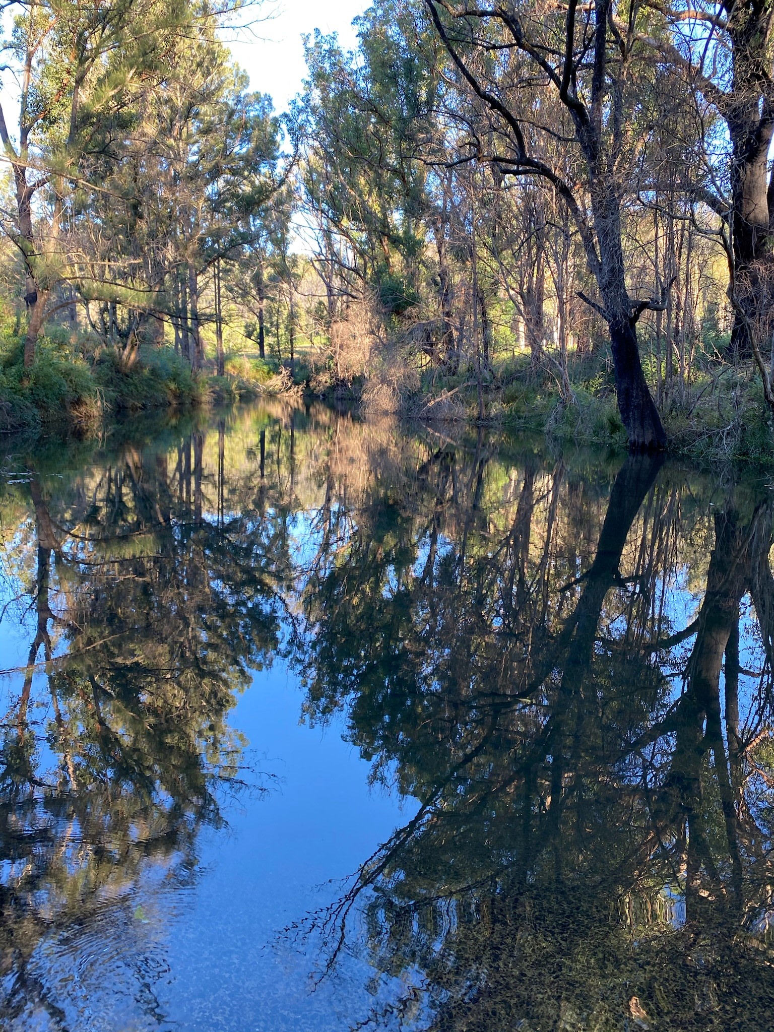 Wombat Hollow