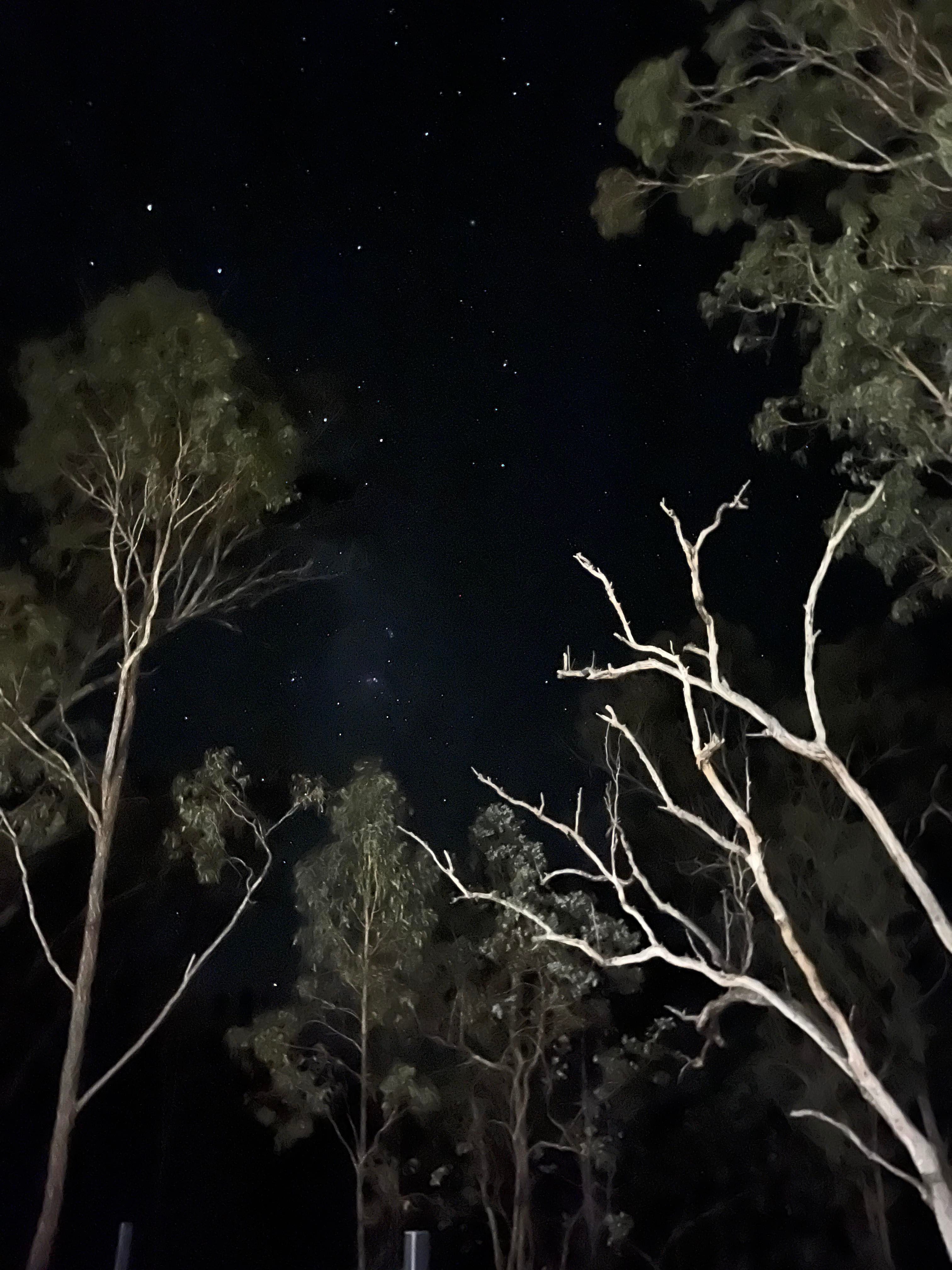 Possum Bush Retreat FARMSTAY