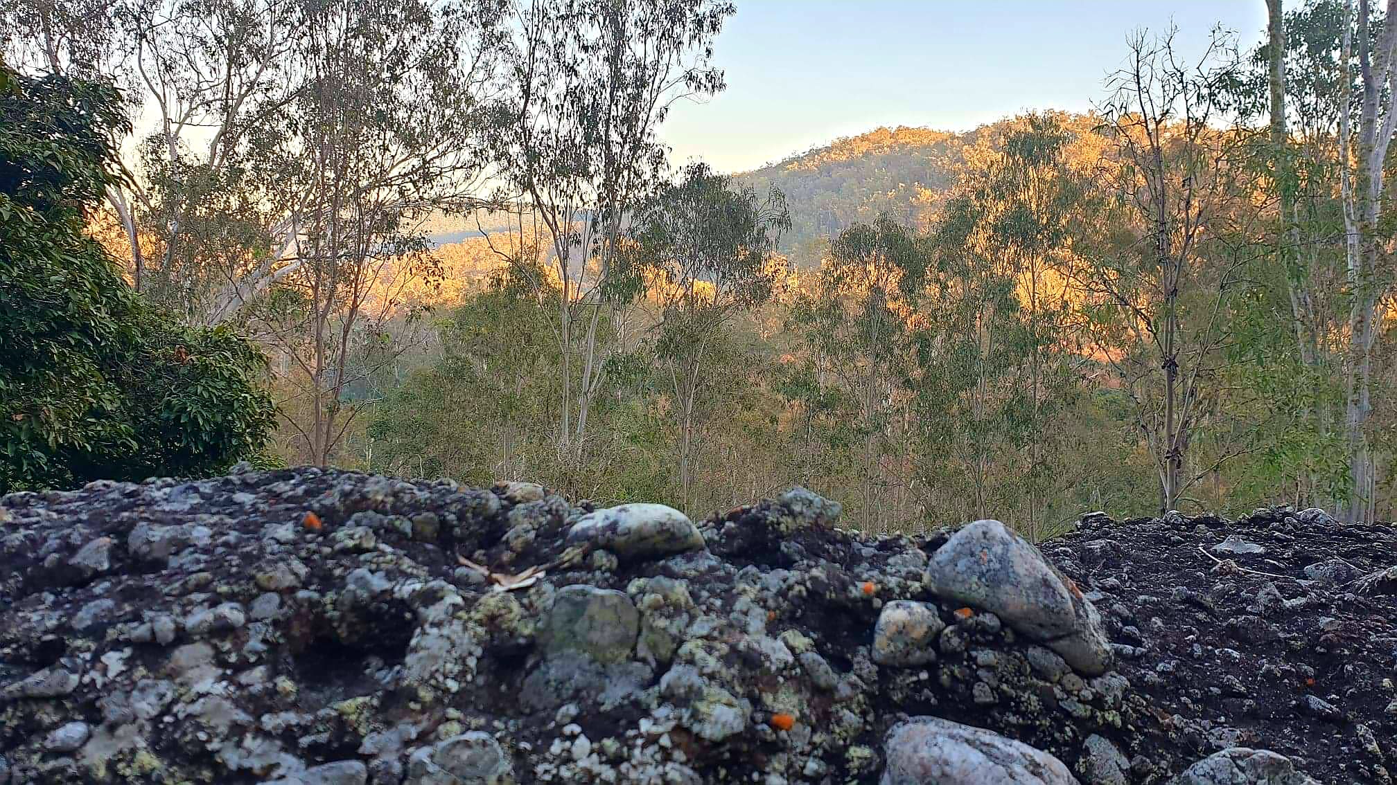 Possum Bush Retreat FARMSTAY