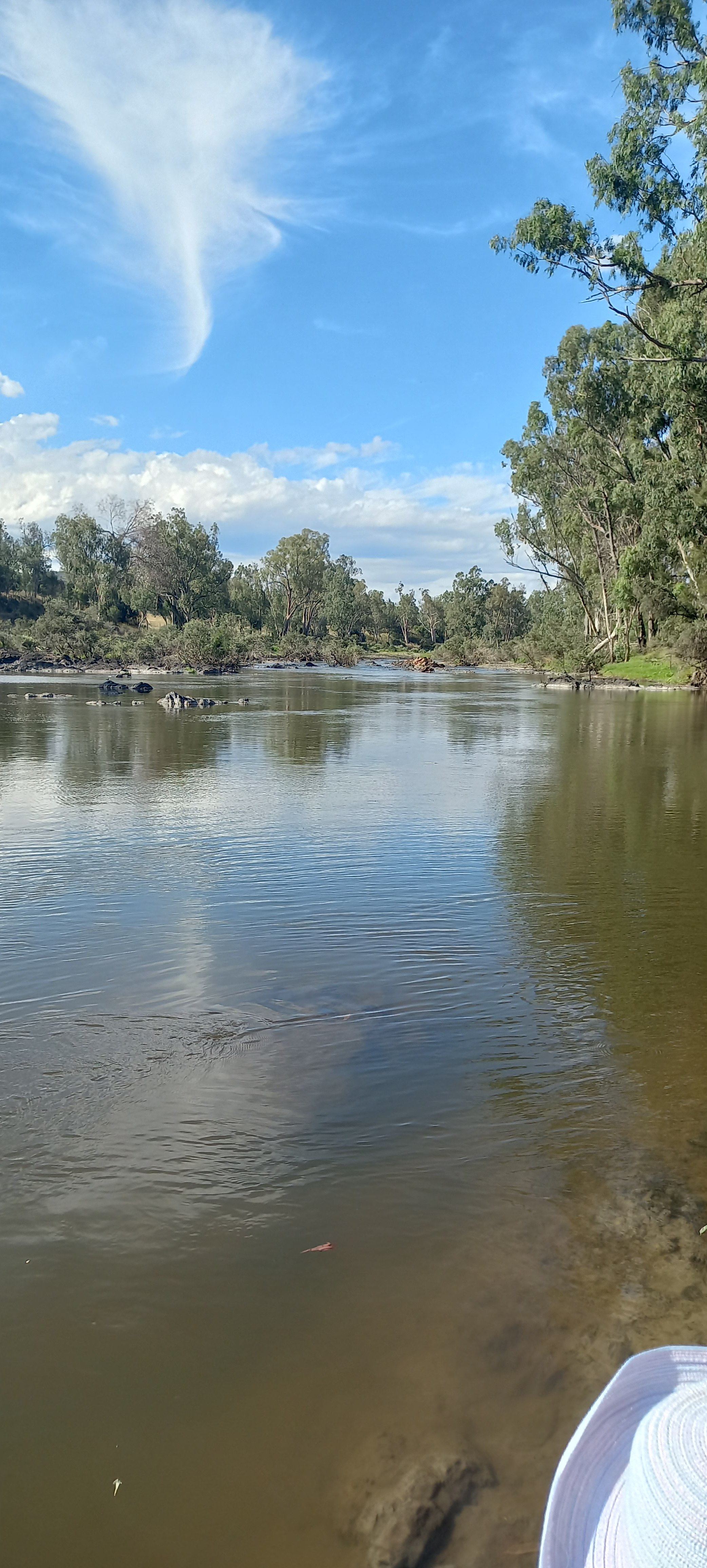 'Saliet'(Newfarm) Bonshaw area NSW
