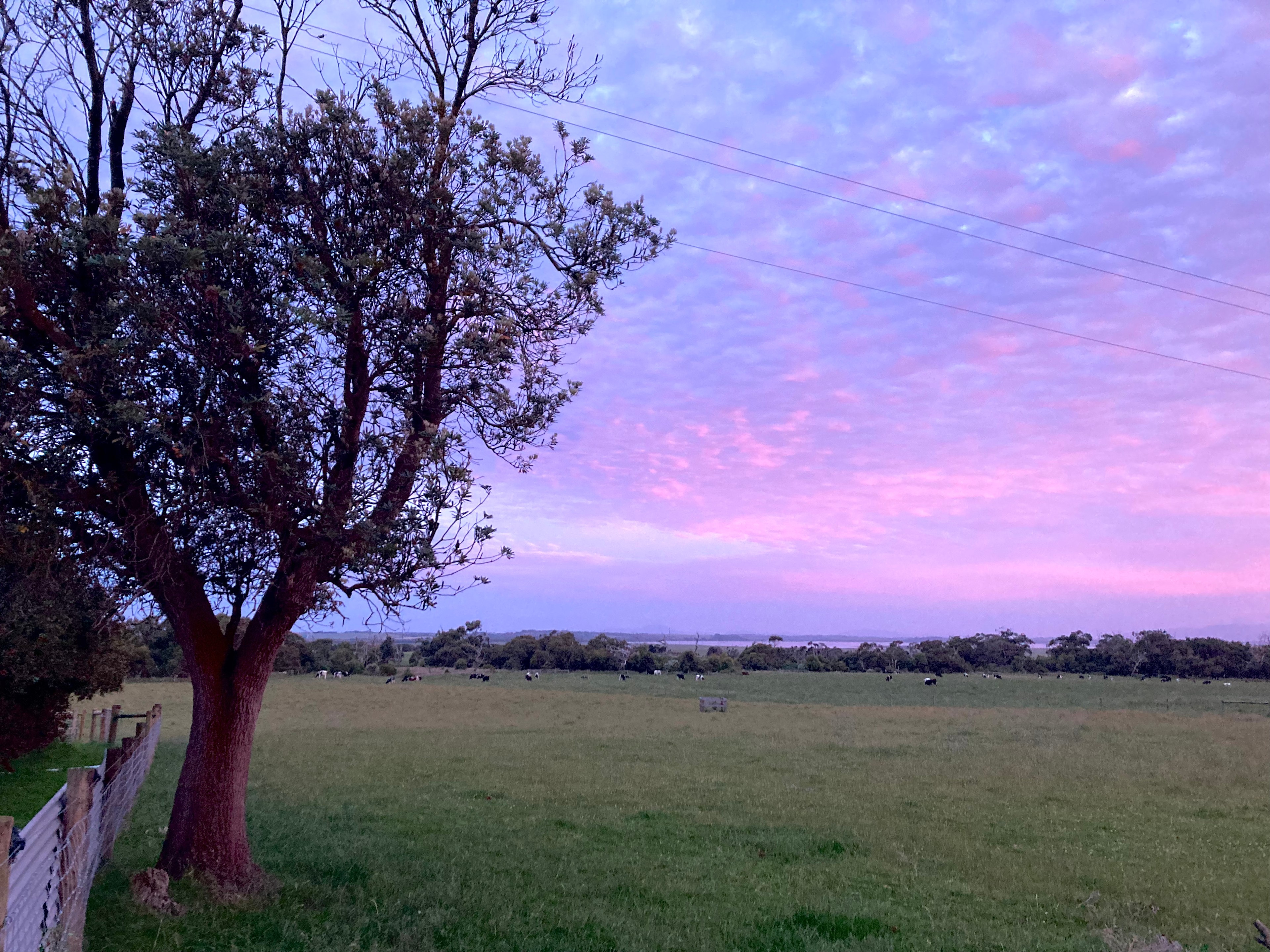 Evening light
