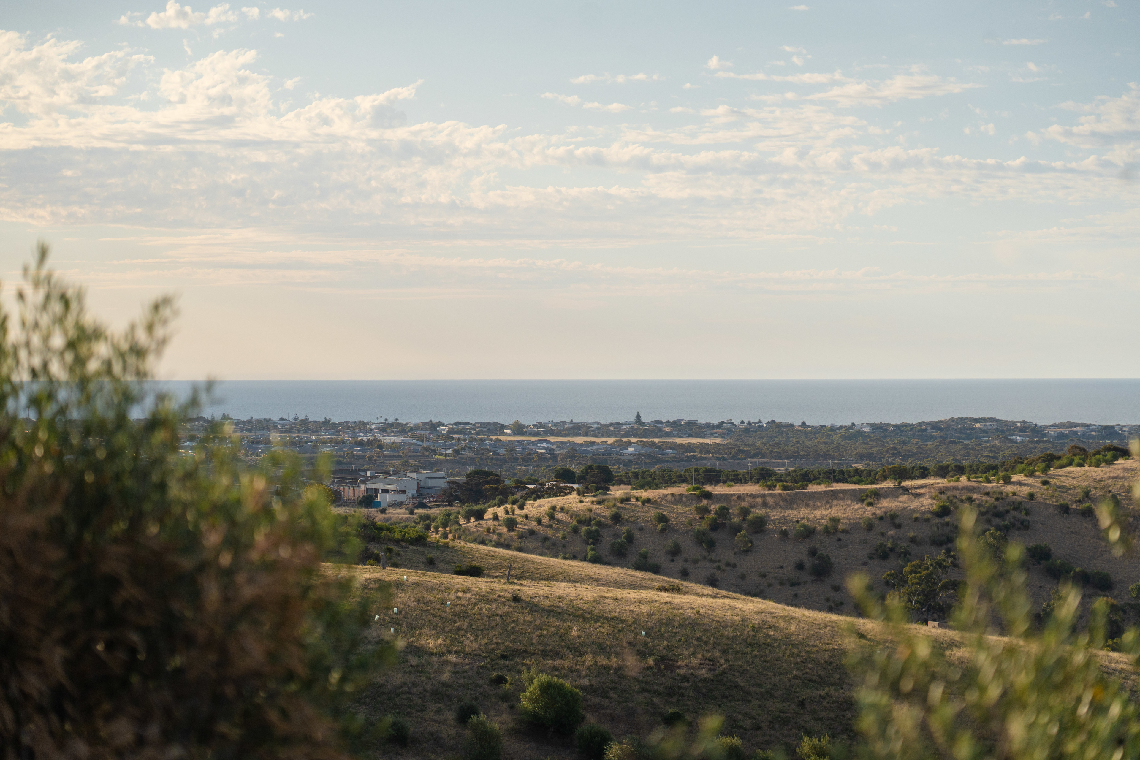 McLaren Vale National Park View