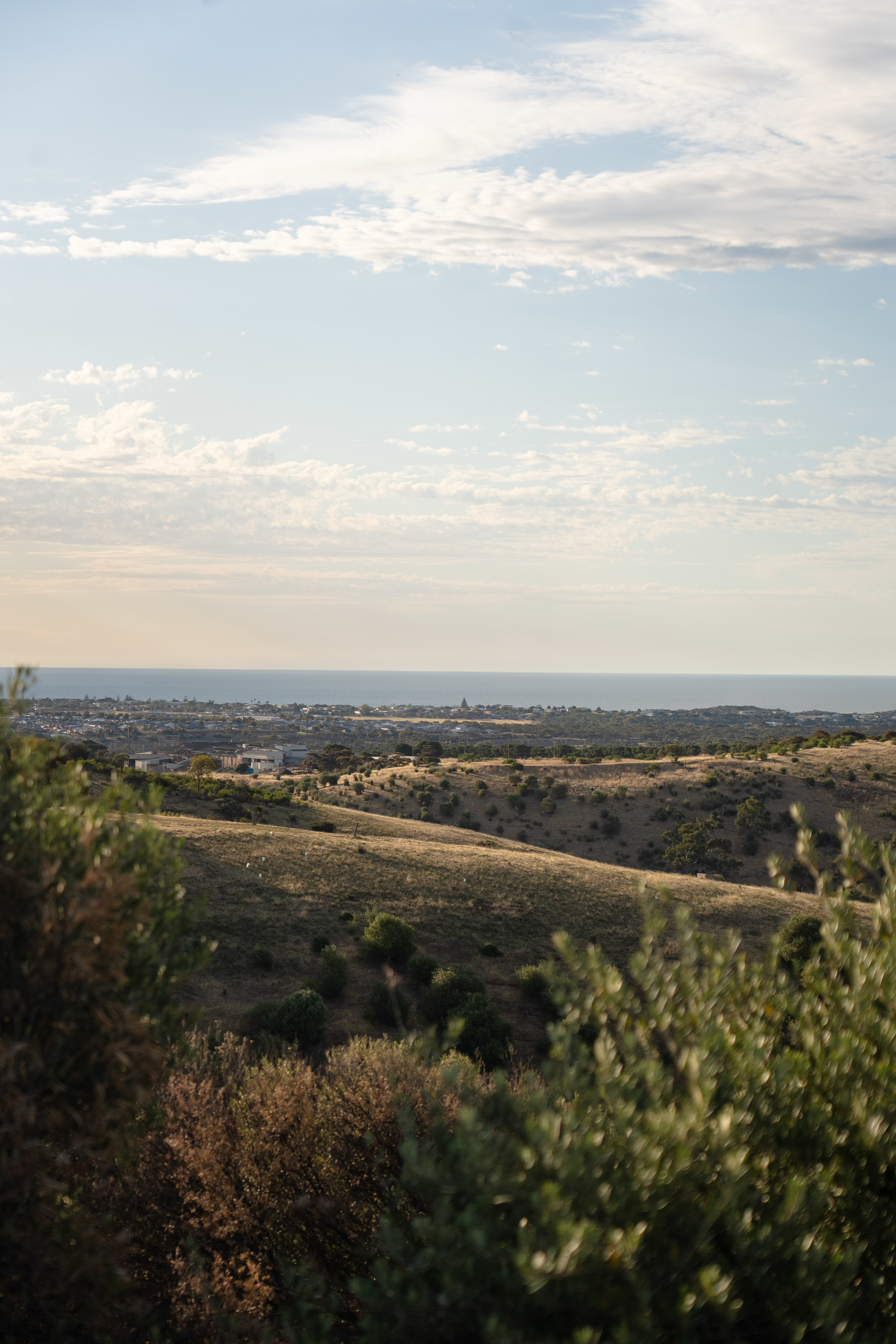 McLaren Vale National Park View