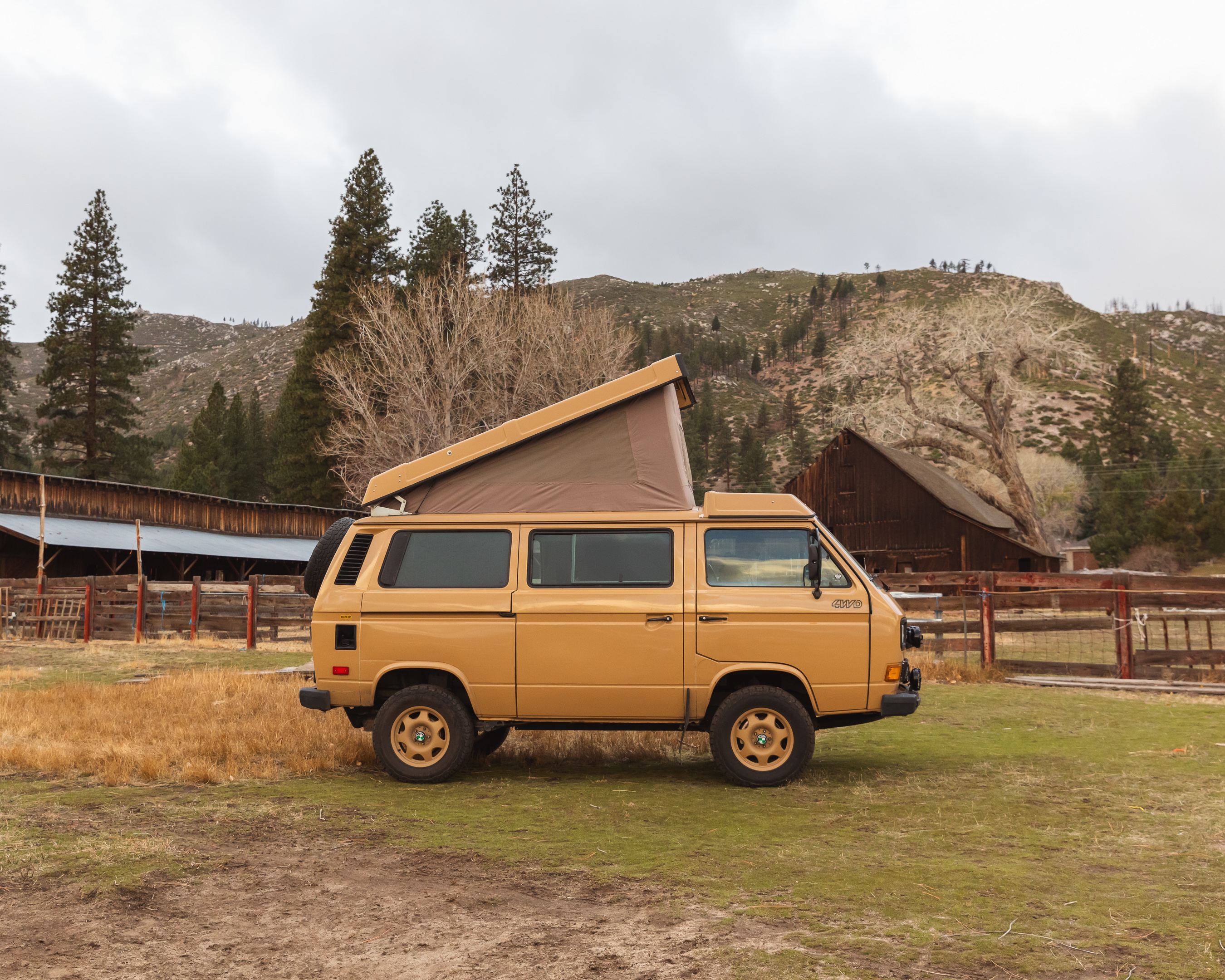 Alpaca Adventures at Honey Lake